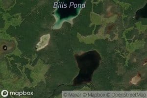 Bills Pond