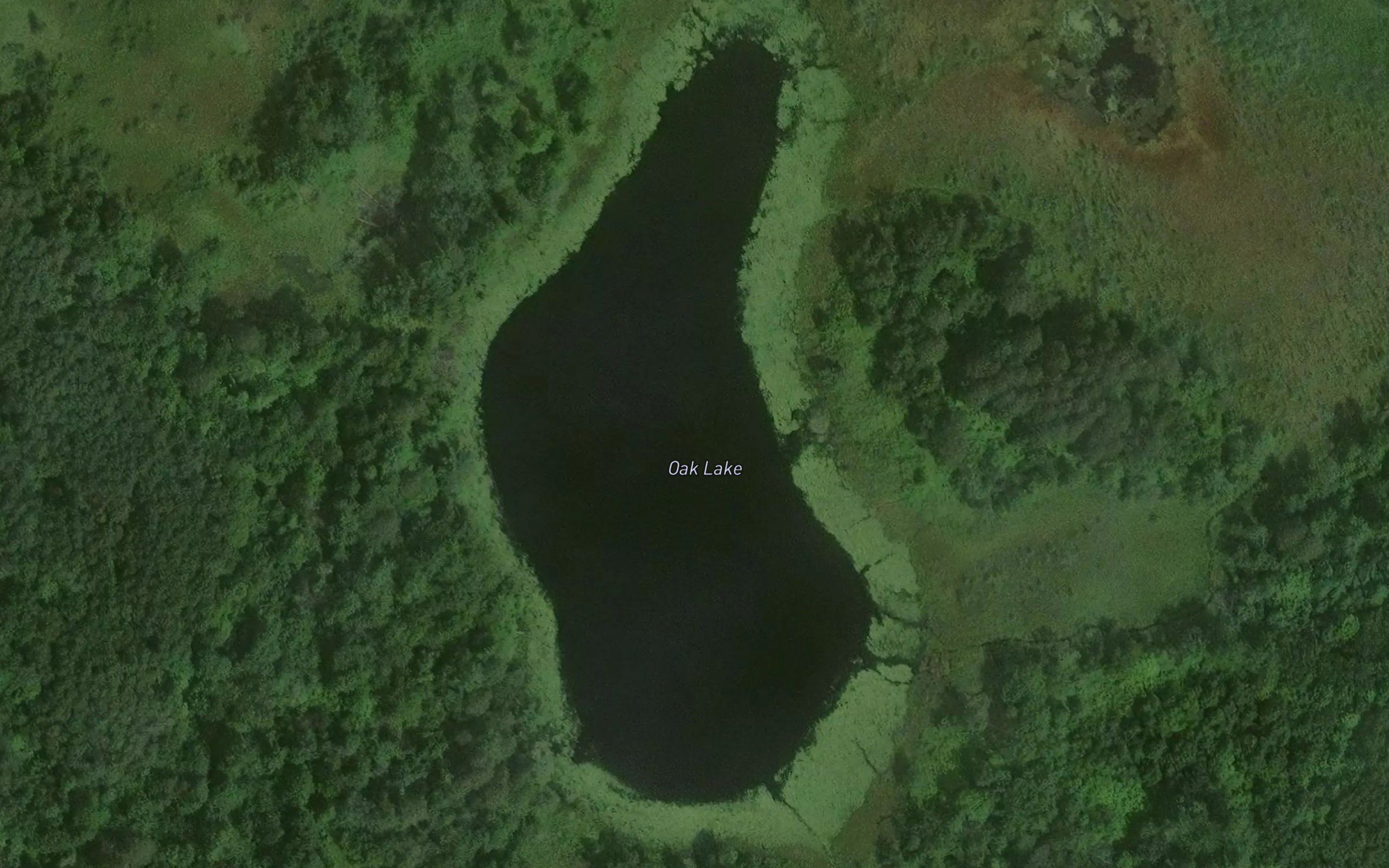 Oak Lake