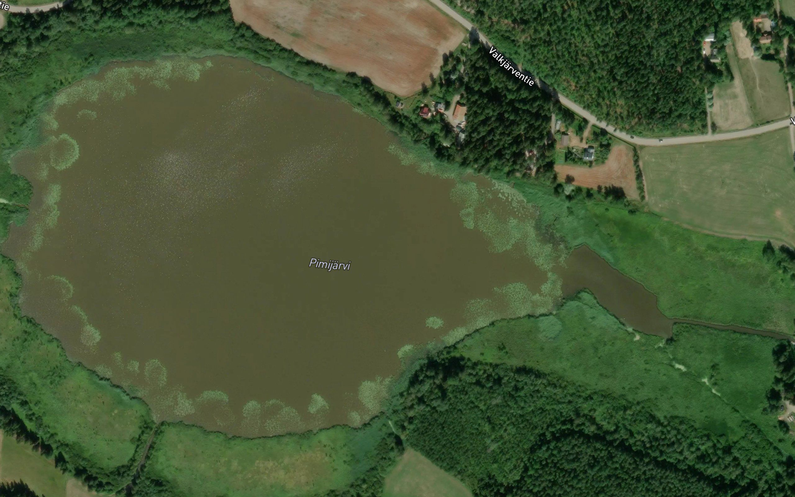 Pimijarvi