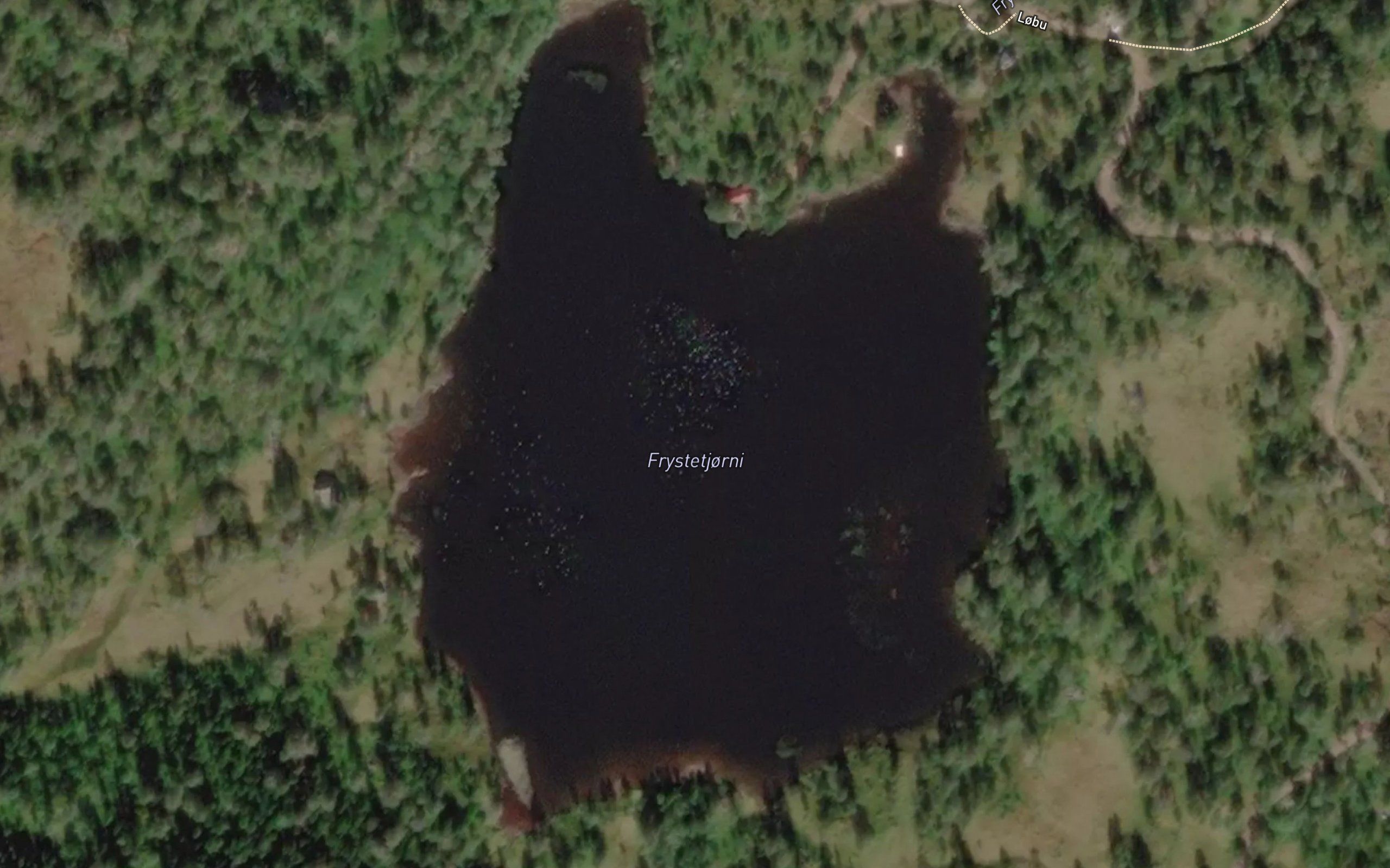 Frystetjorni
