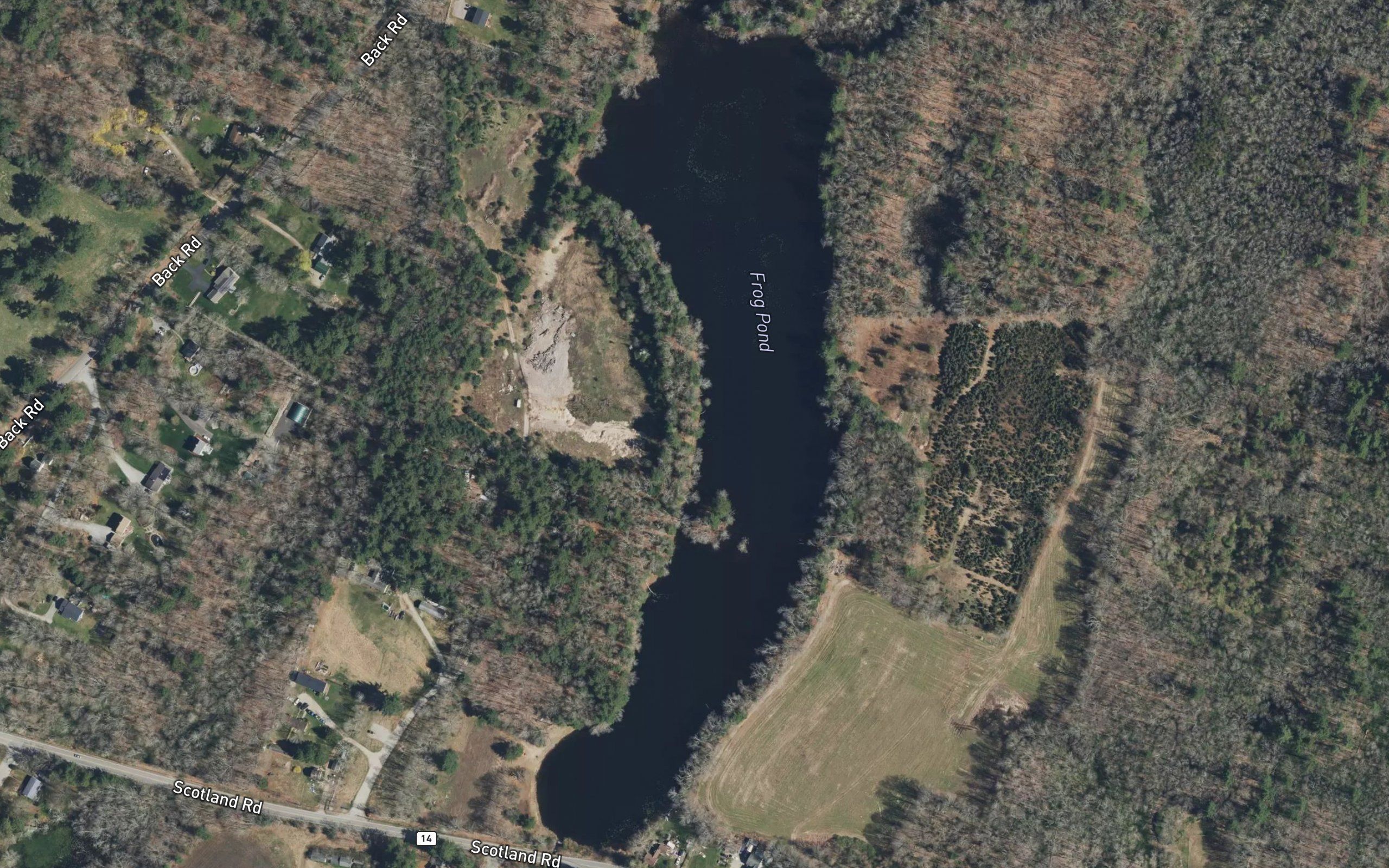 Frog Pond