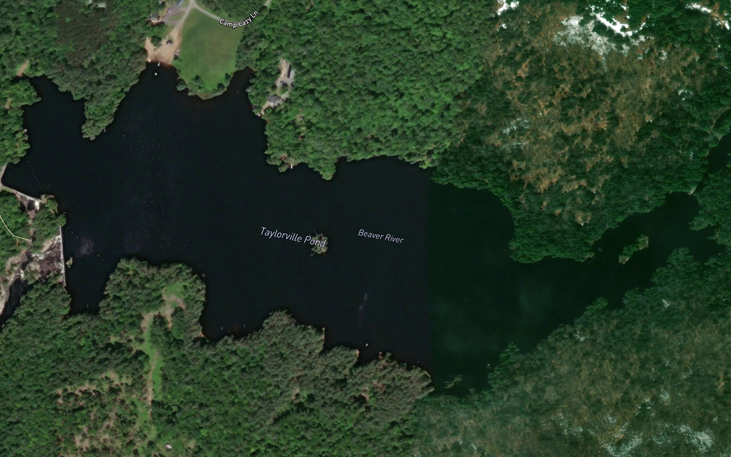 Taylorville Pond