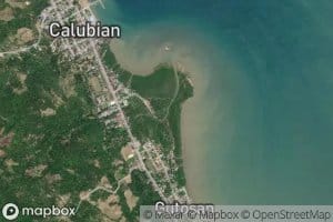 Calubian River