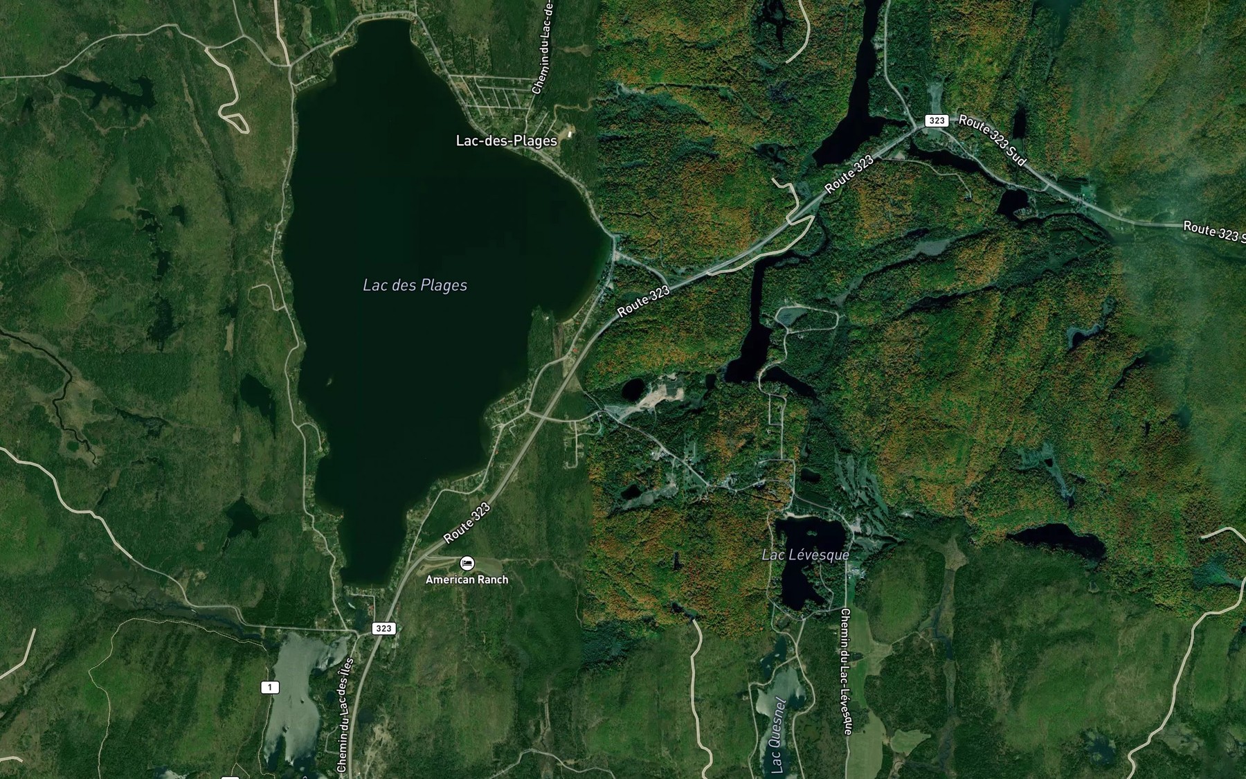 Satellite map of the Lac Ethier