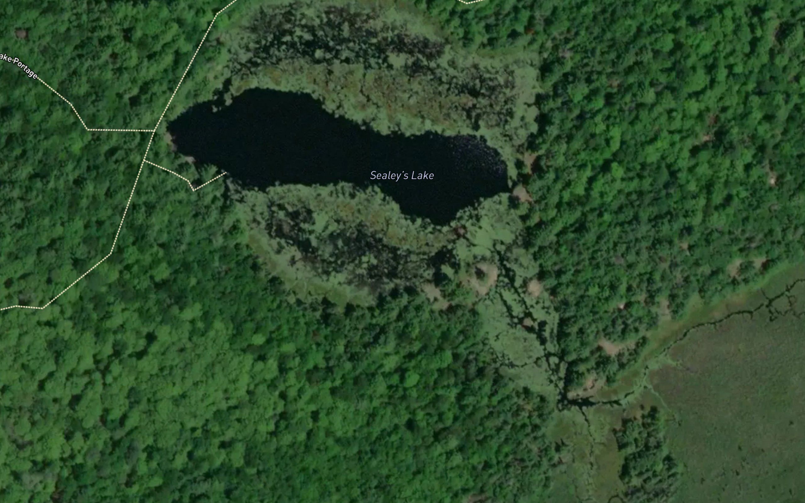 Sealey's Lake