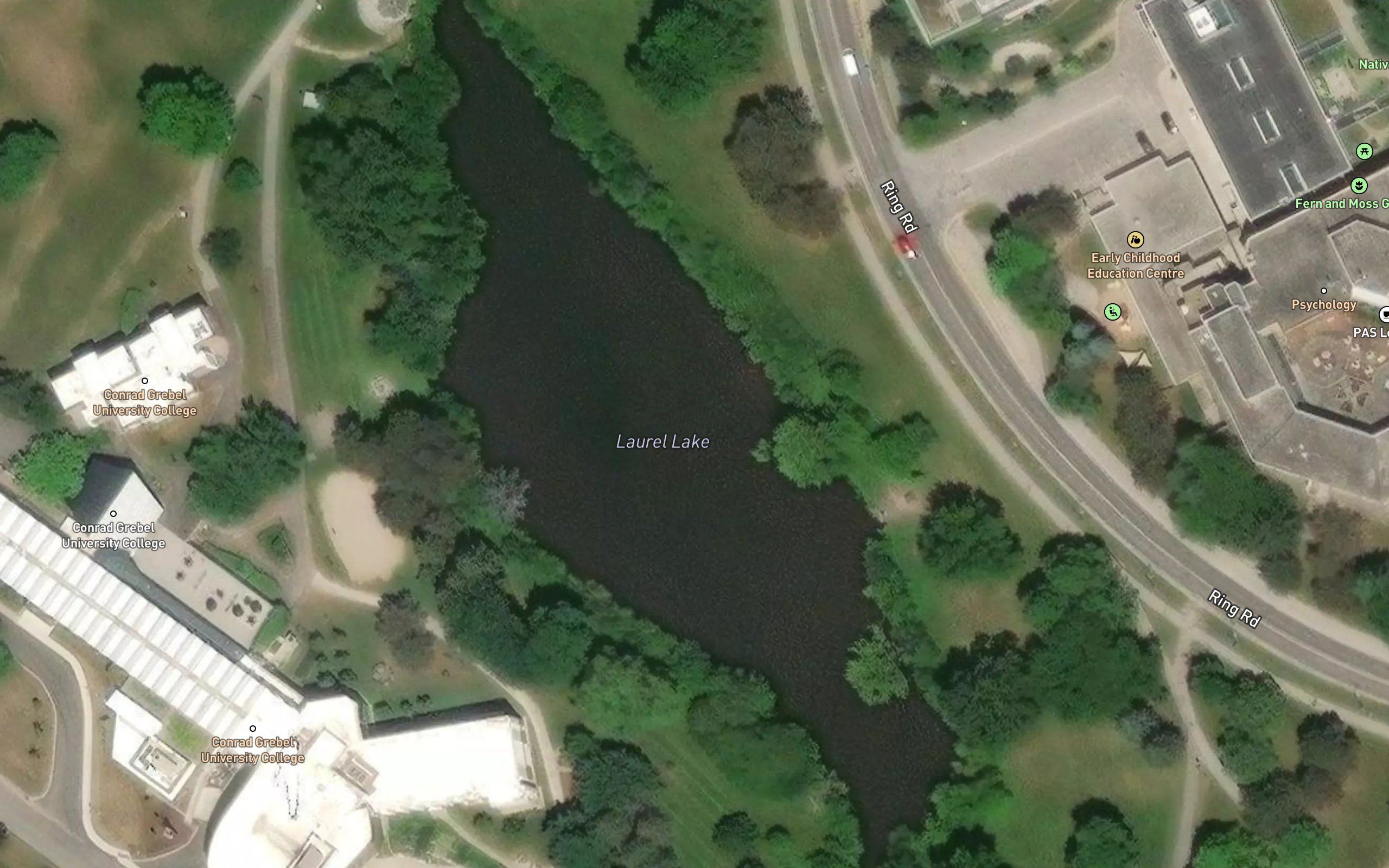 Laurel Lake