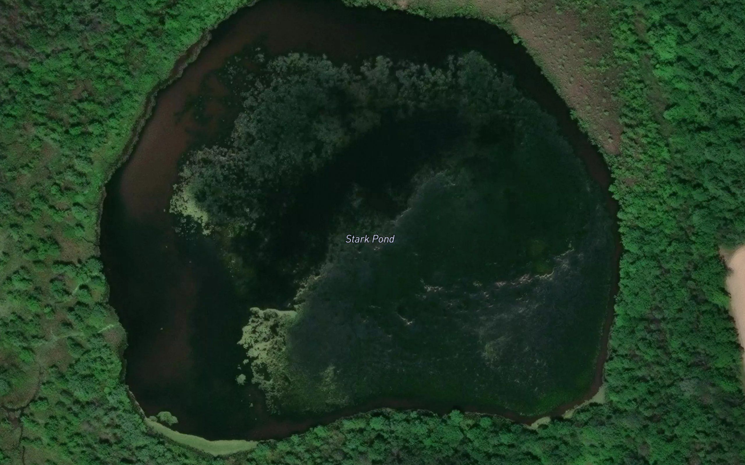 Stark Pond