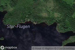Flugen