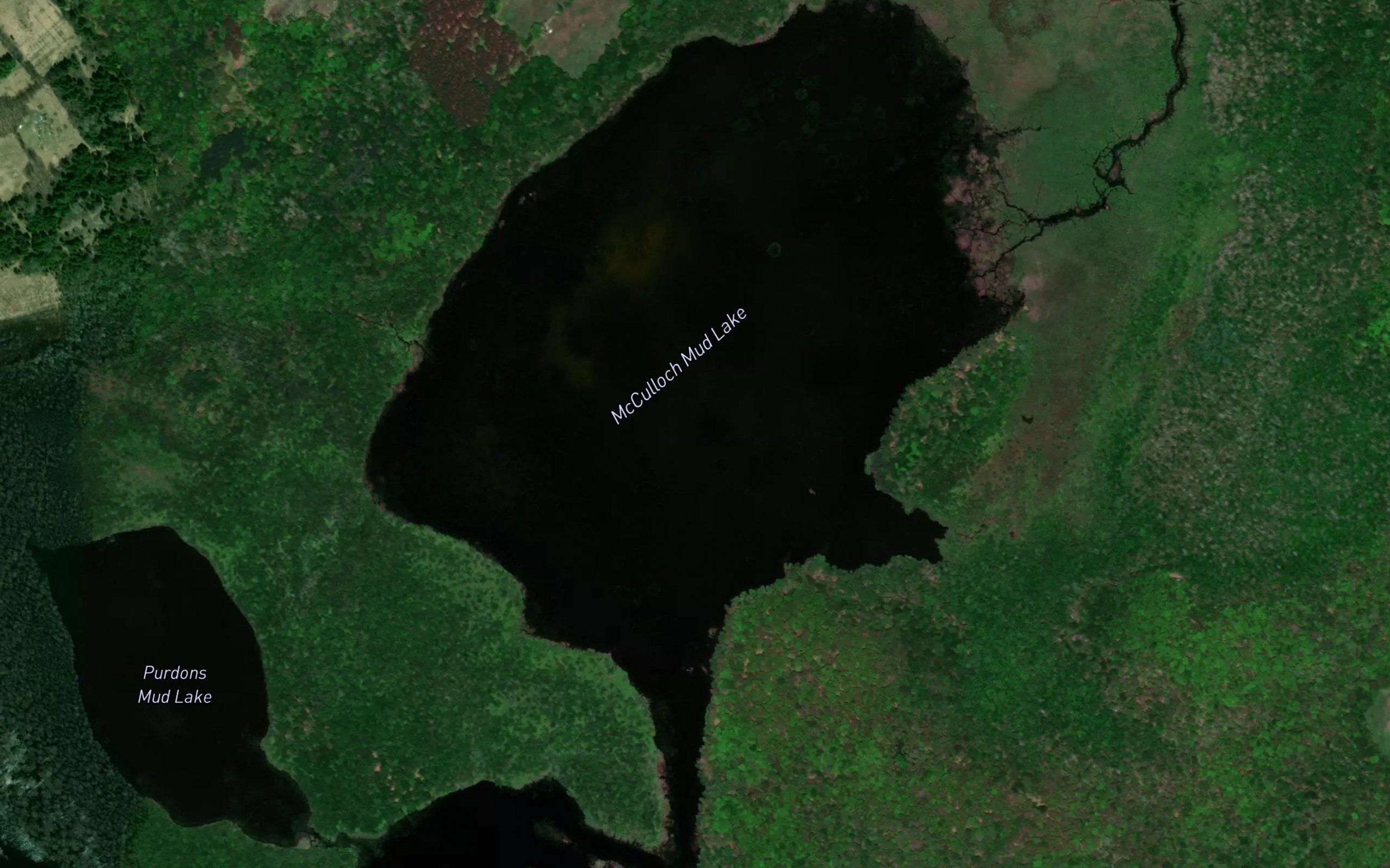 McCullochs Mud Lake