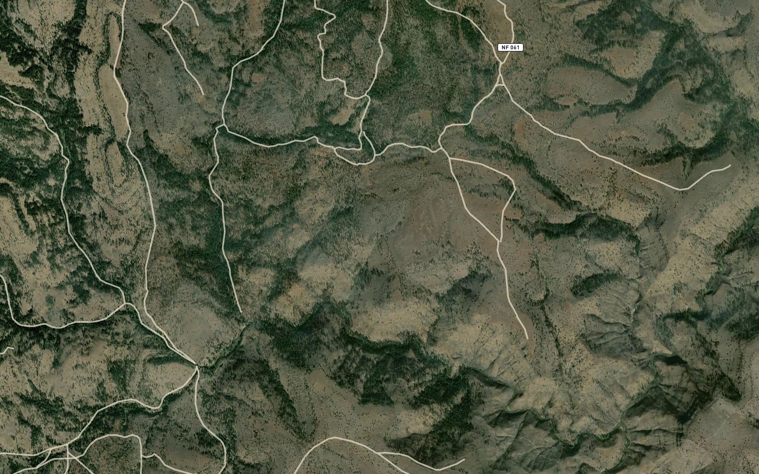 Tonto Spring