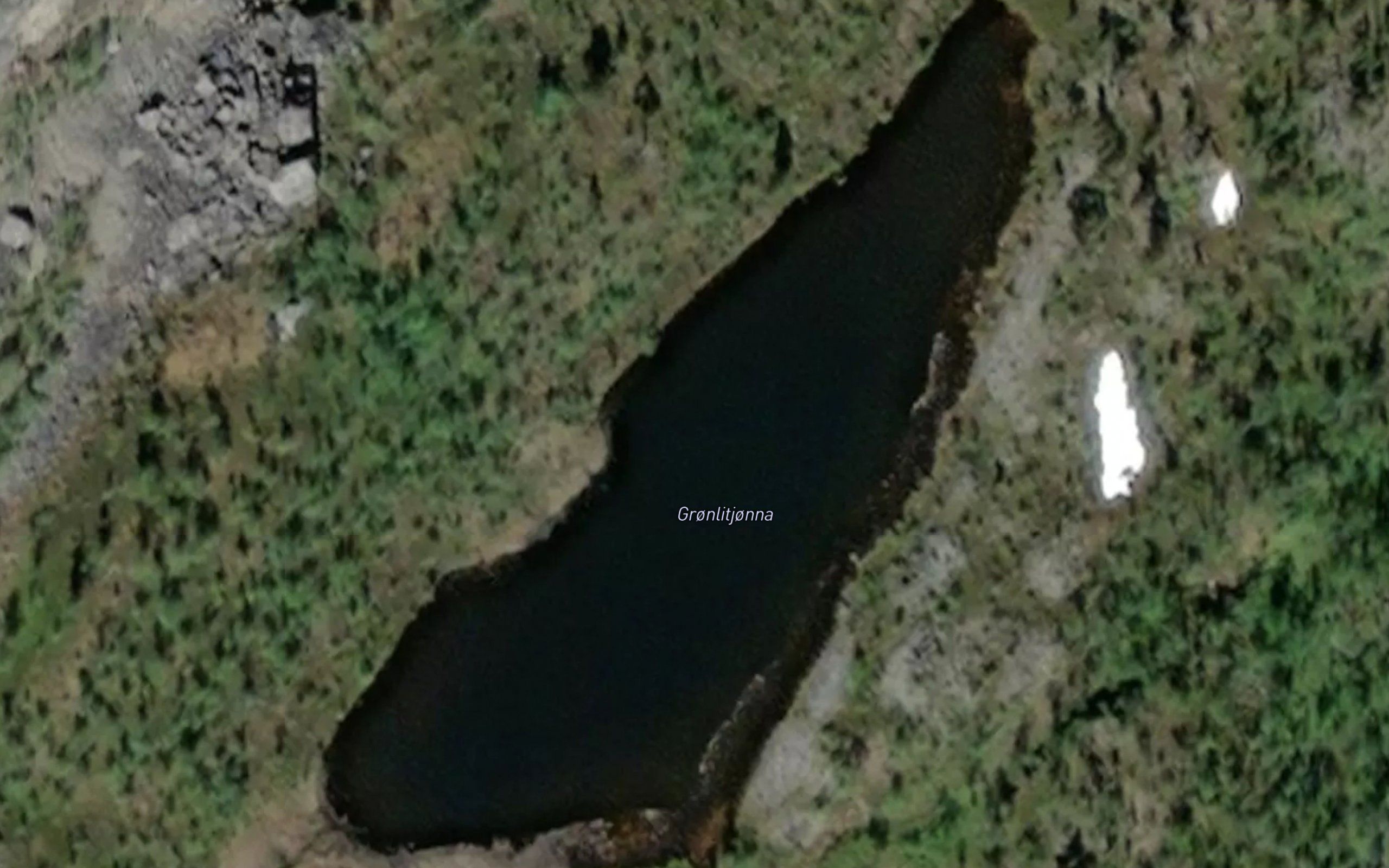 Gronlitjonna