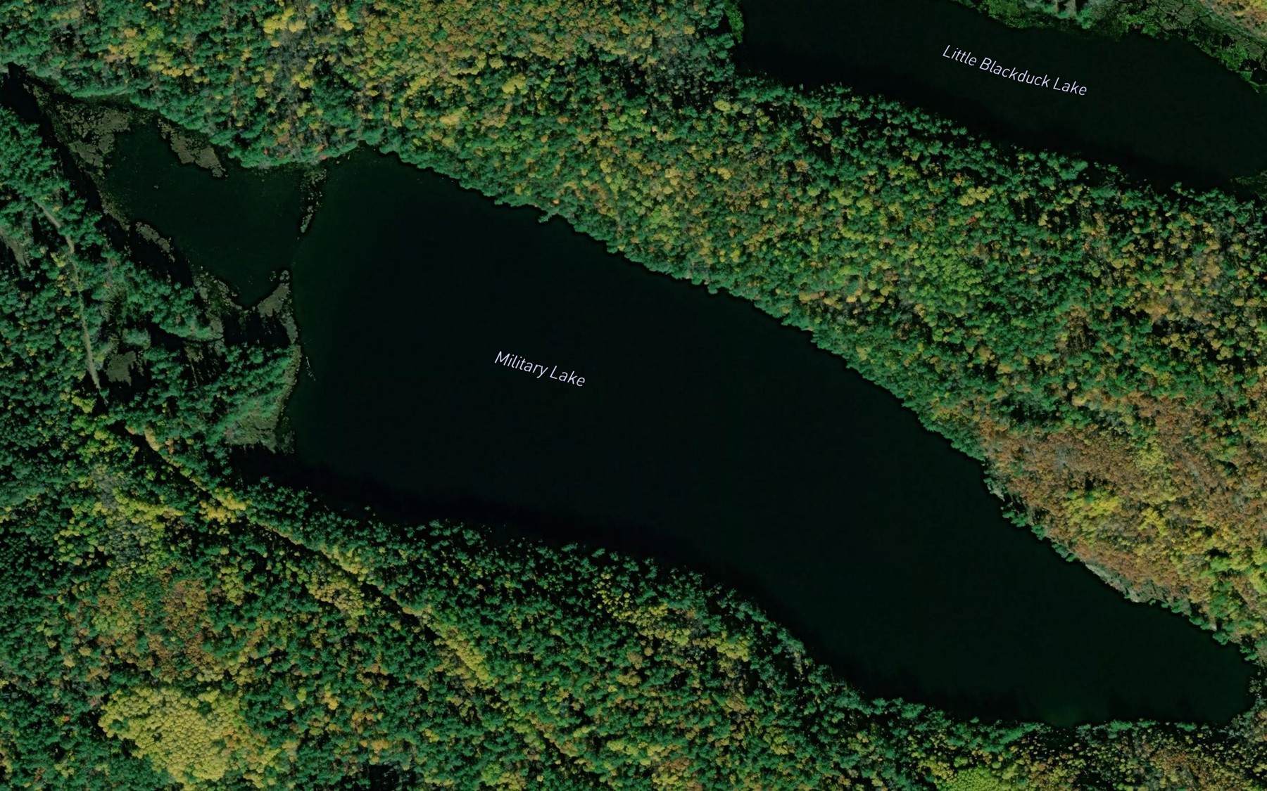 Satellite map of the Military Lake
