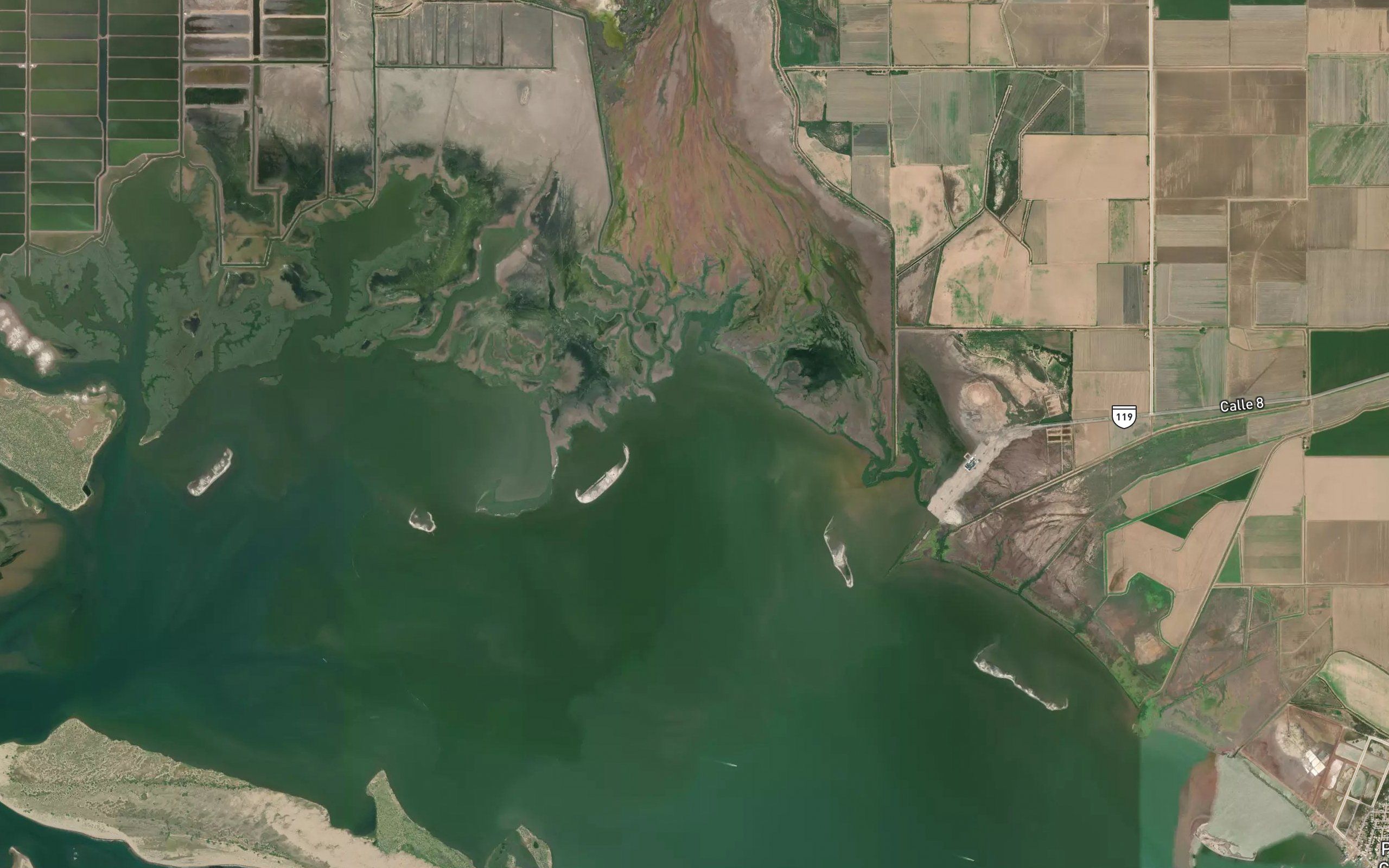 Estero la Punta Verde