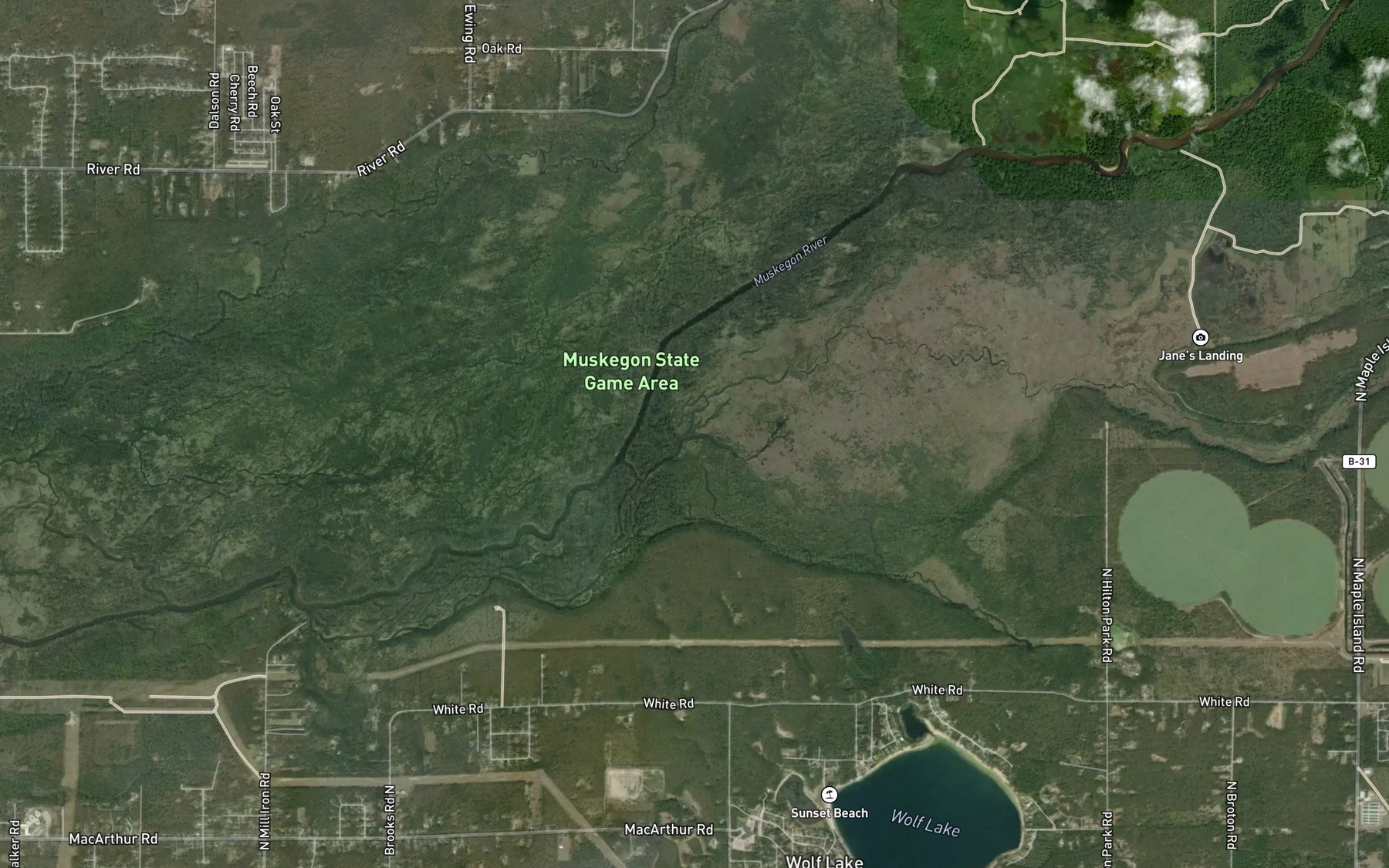 Satellite map of the Mosquito Creek