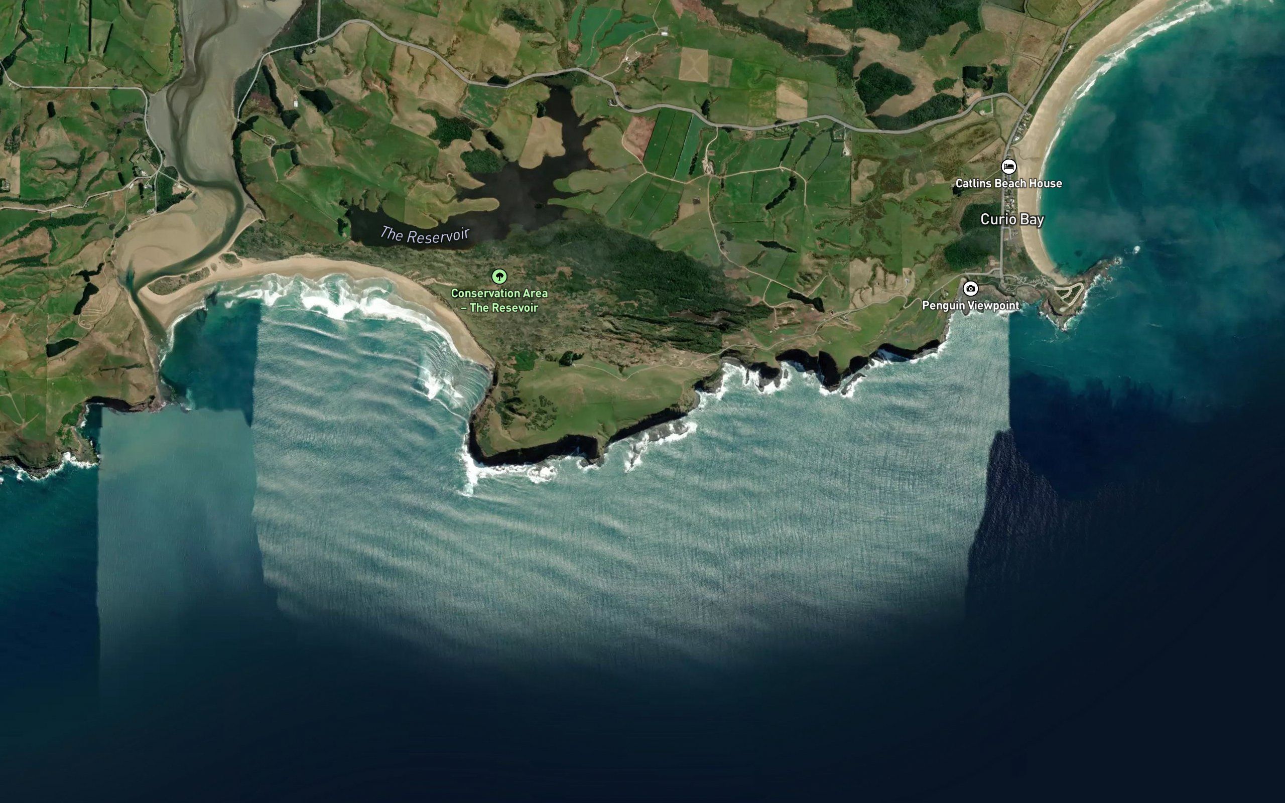 Blue Cod Bay