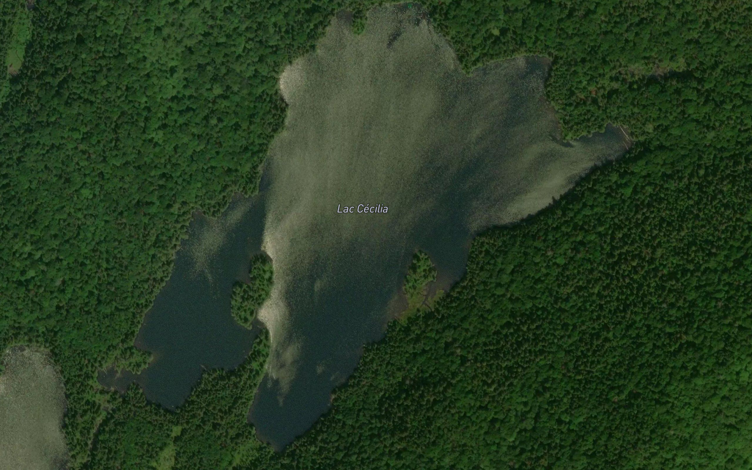 Lac Cecilia