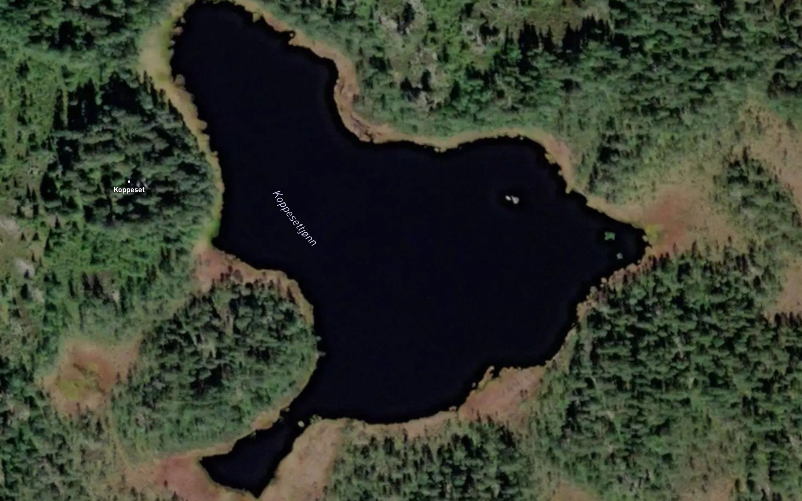 Koppesettjonn