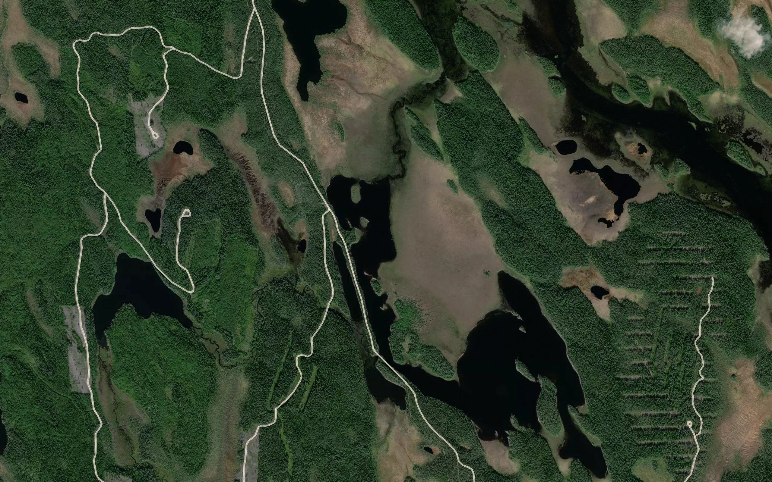 Raguozero