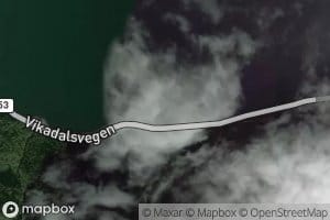 Bogaviki