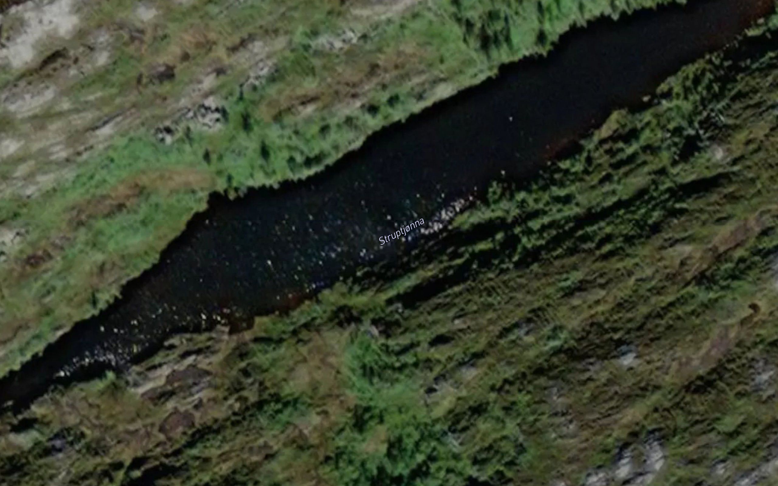 Struptjorna