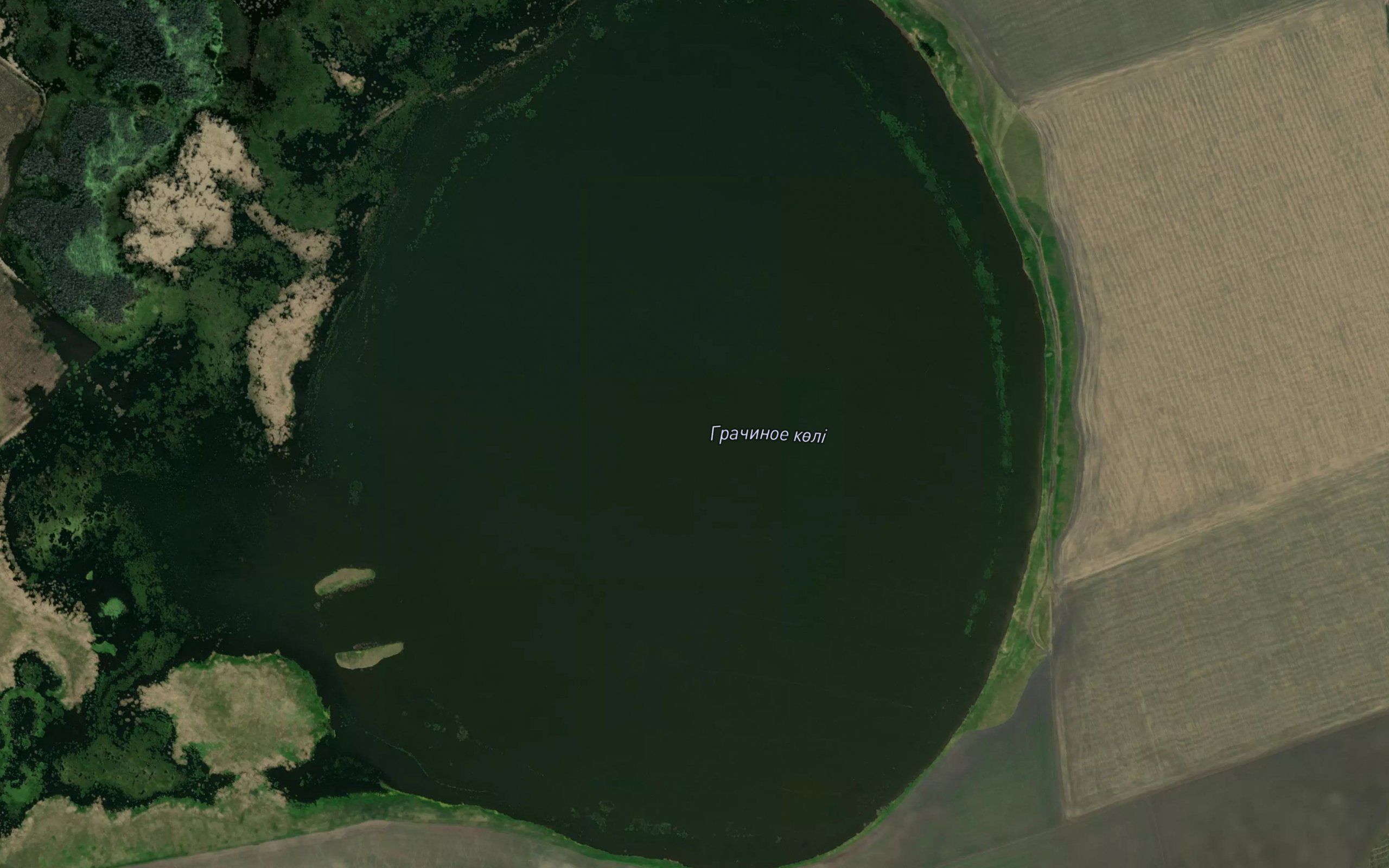 Ozero Grachinoye
