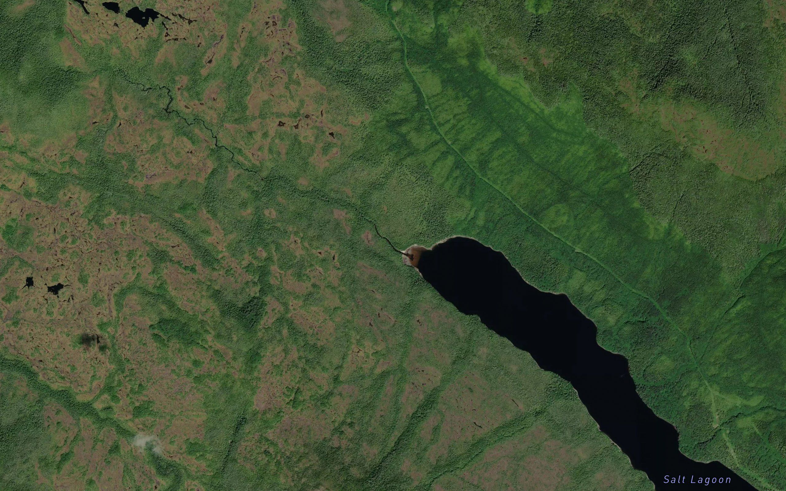 Foote Creek