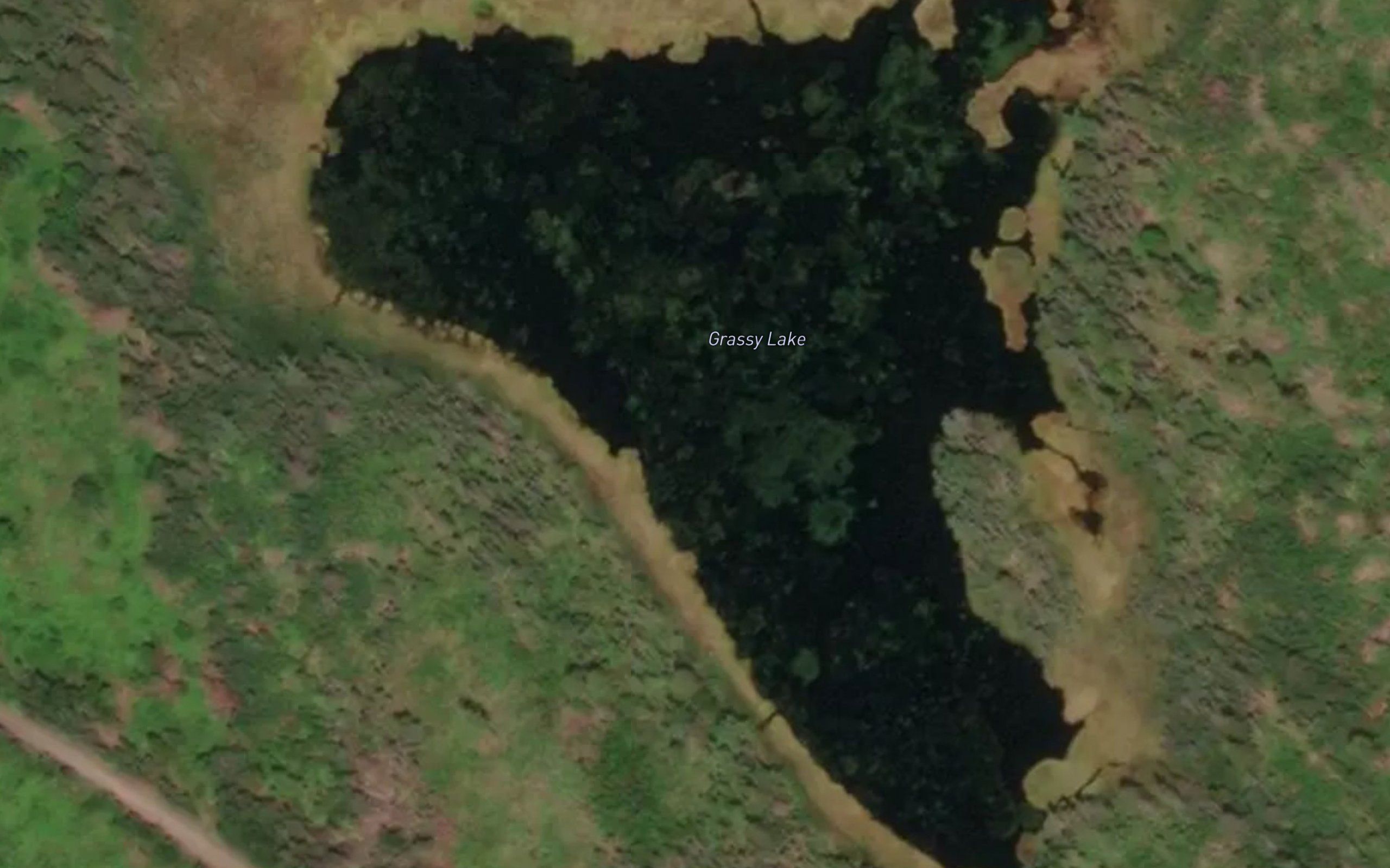 Grassy Lake