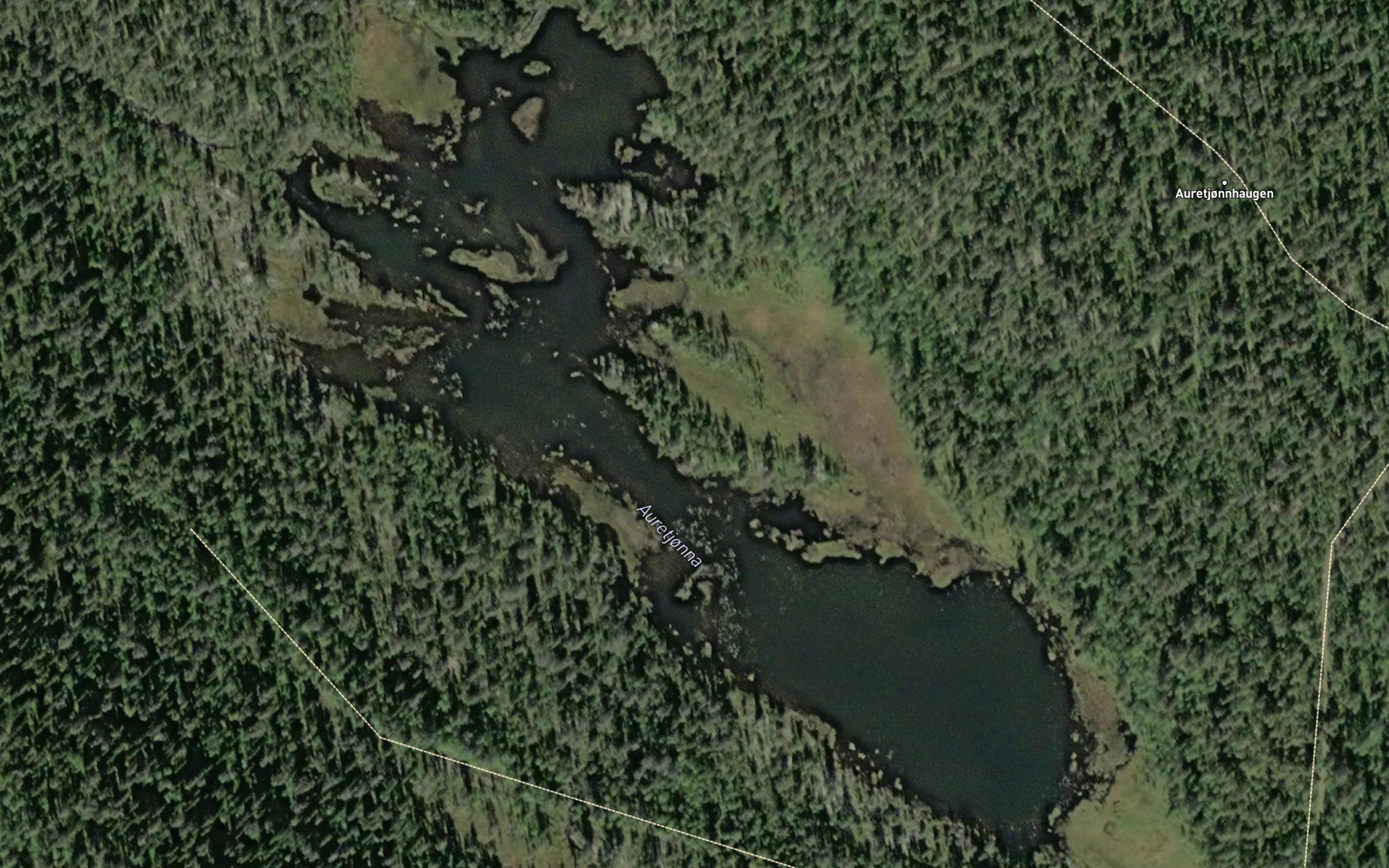 Auretjorna
