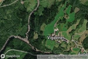 Vigda