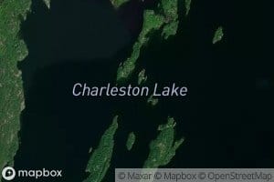 Nest Bay