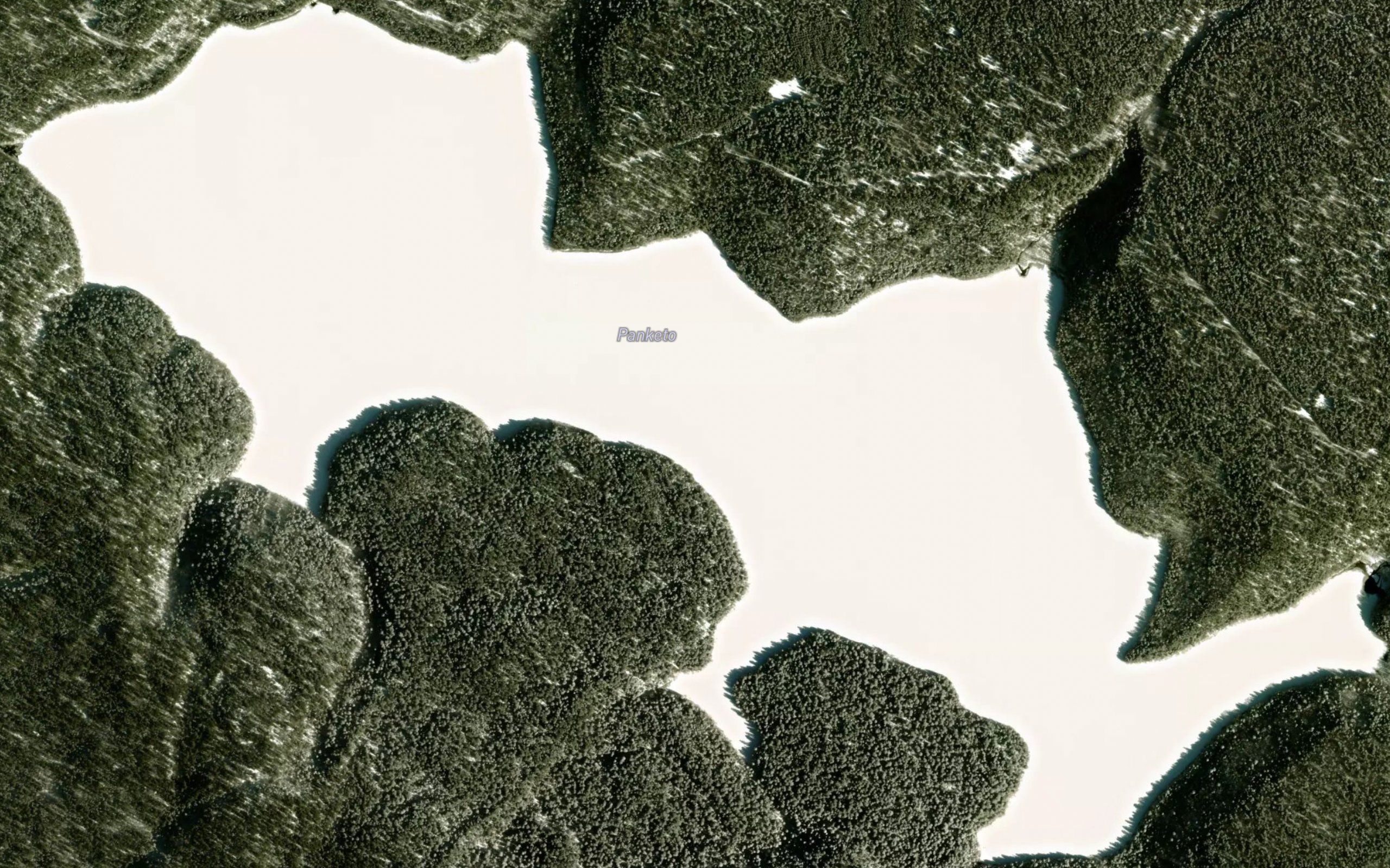 Panketo