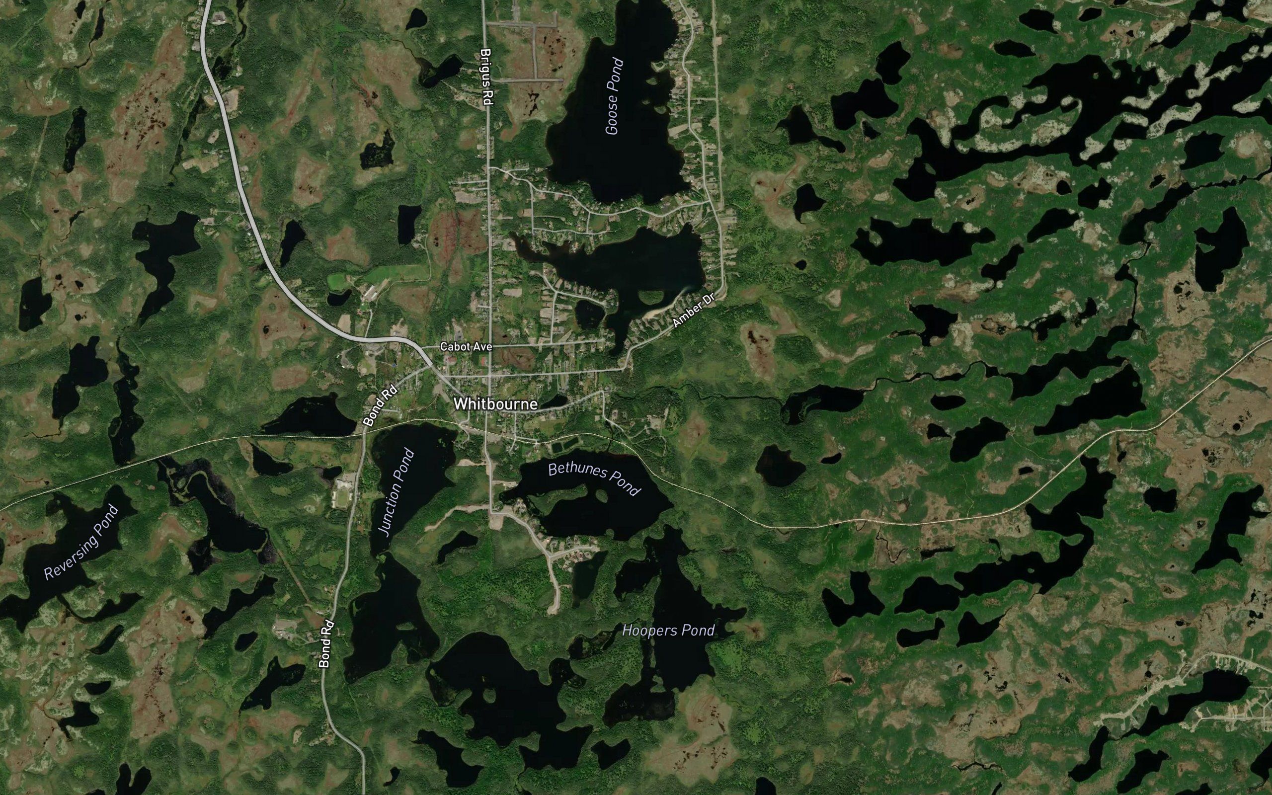 Bethunes Pond