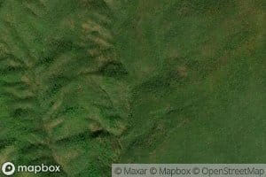 Left Prong Johnson Creek