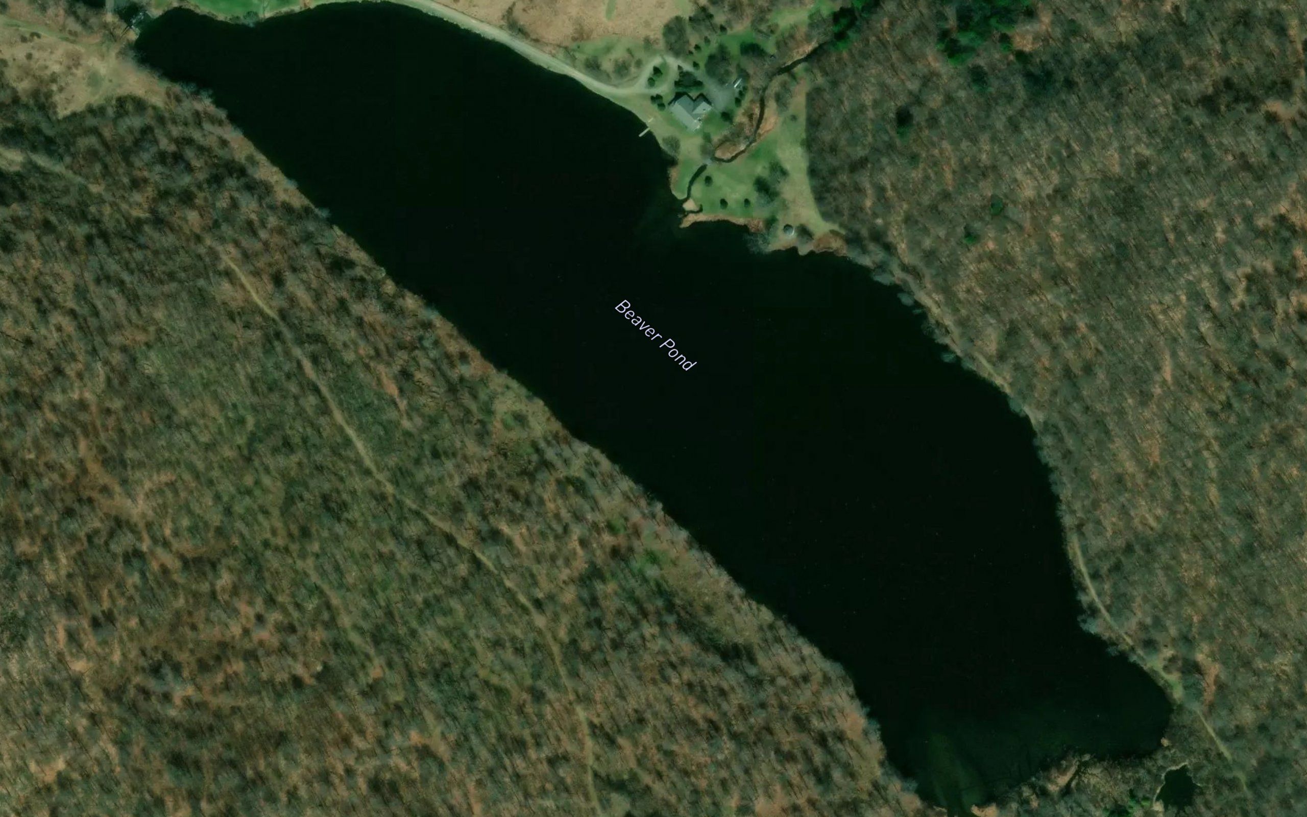 Beaver Pond