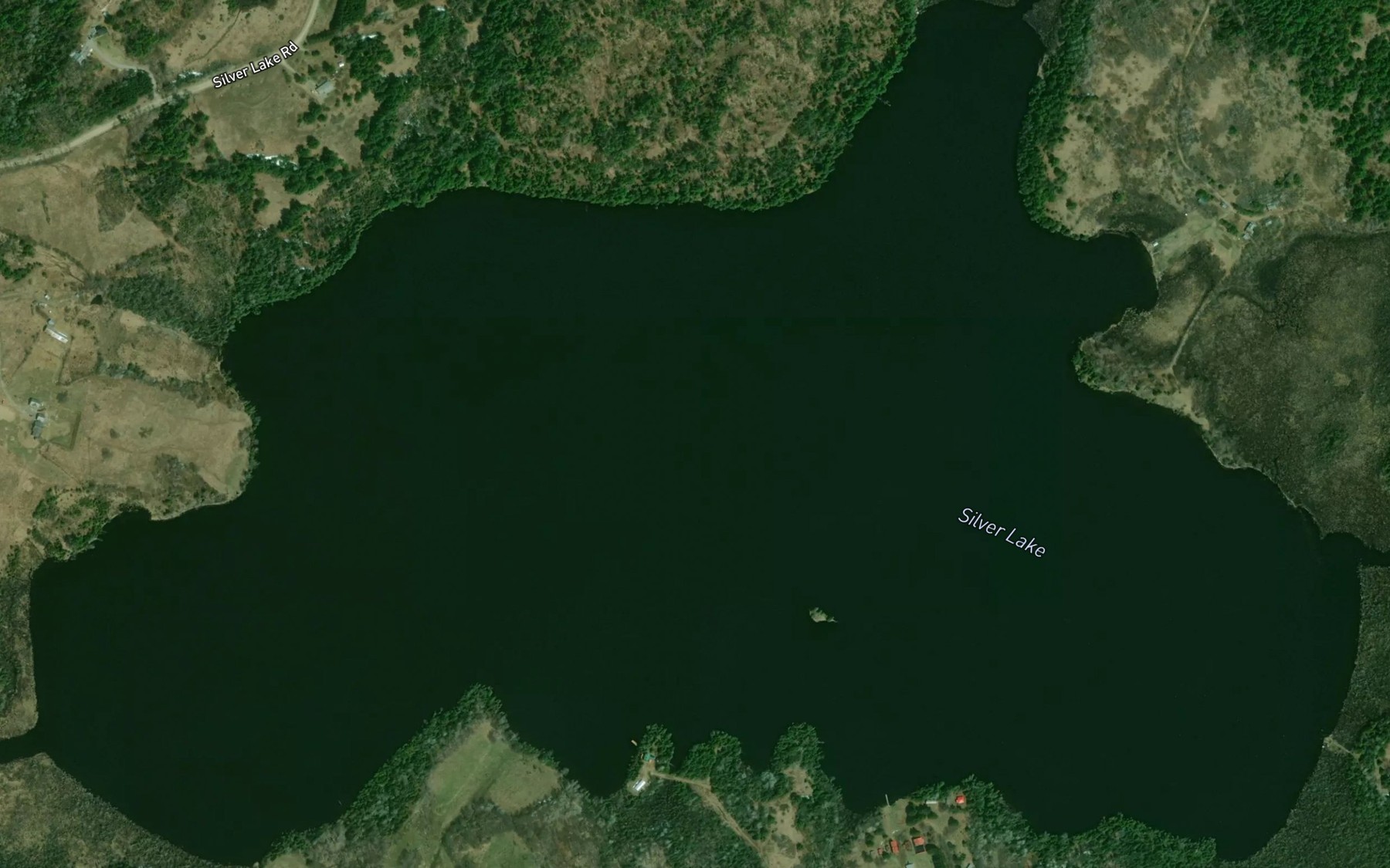 Satellite map of the Silver Lake
