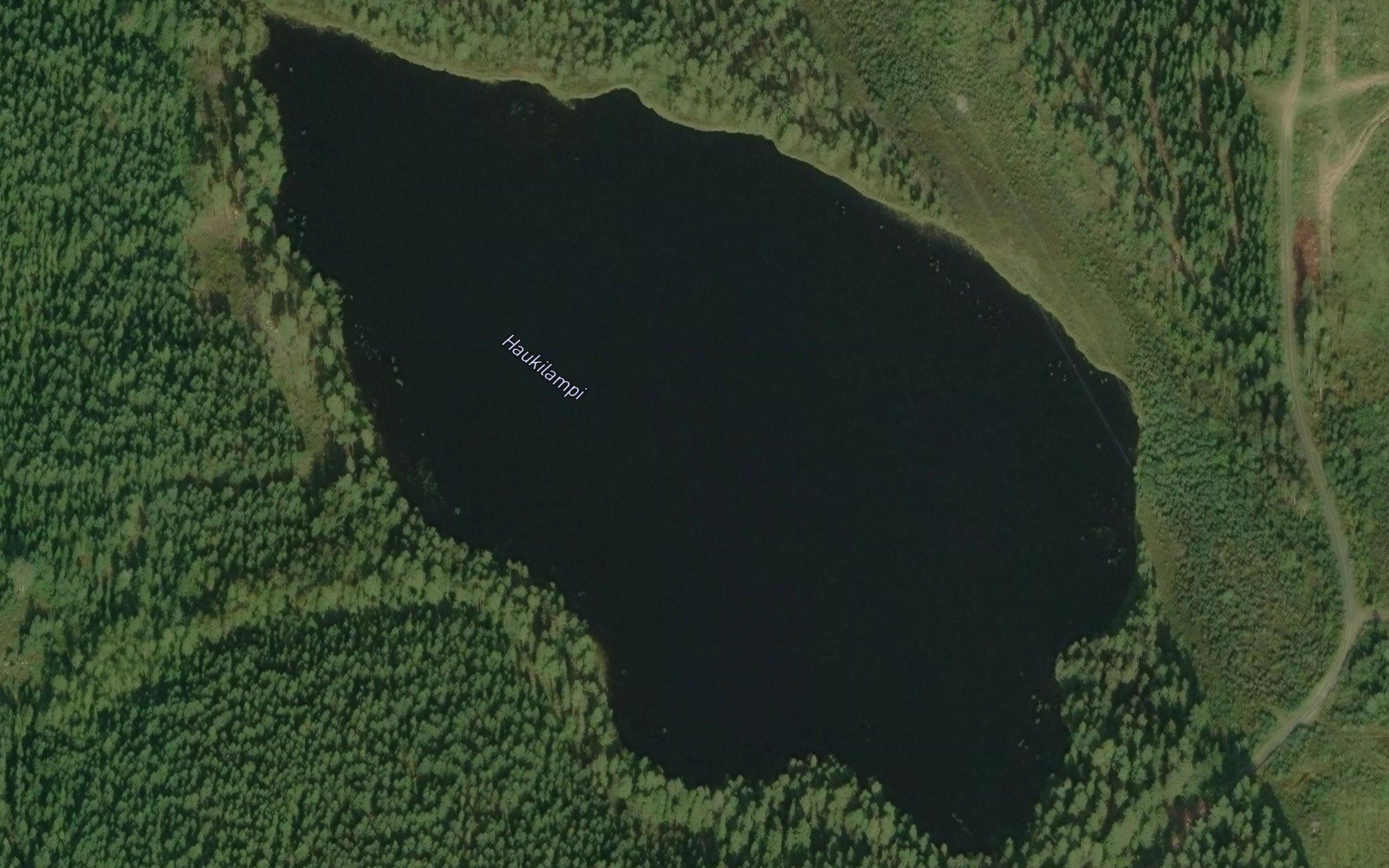 Haukilampi