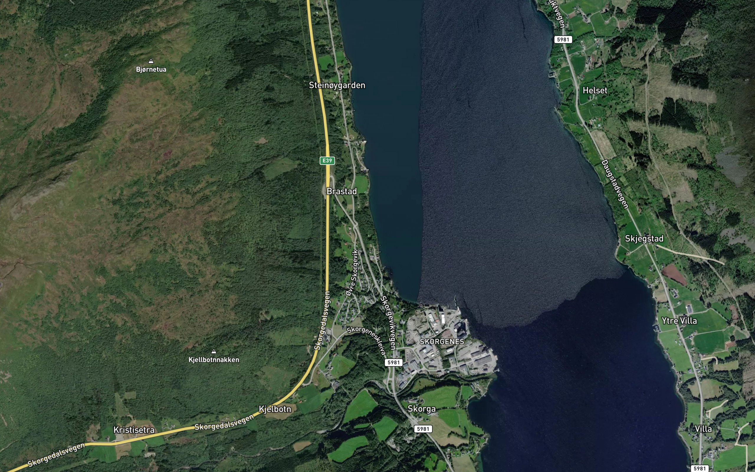 Skorgevika
