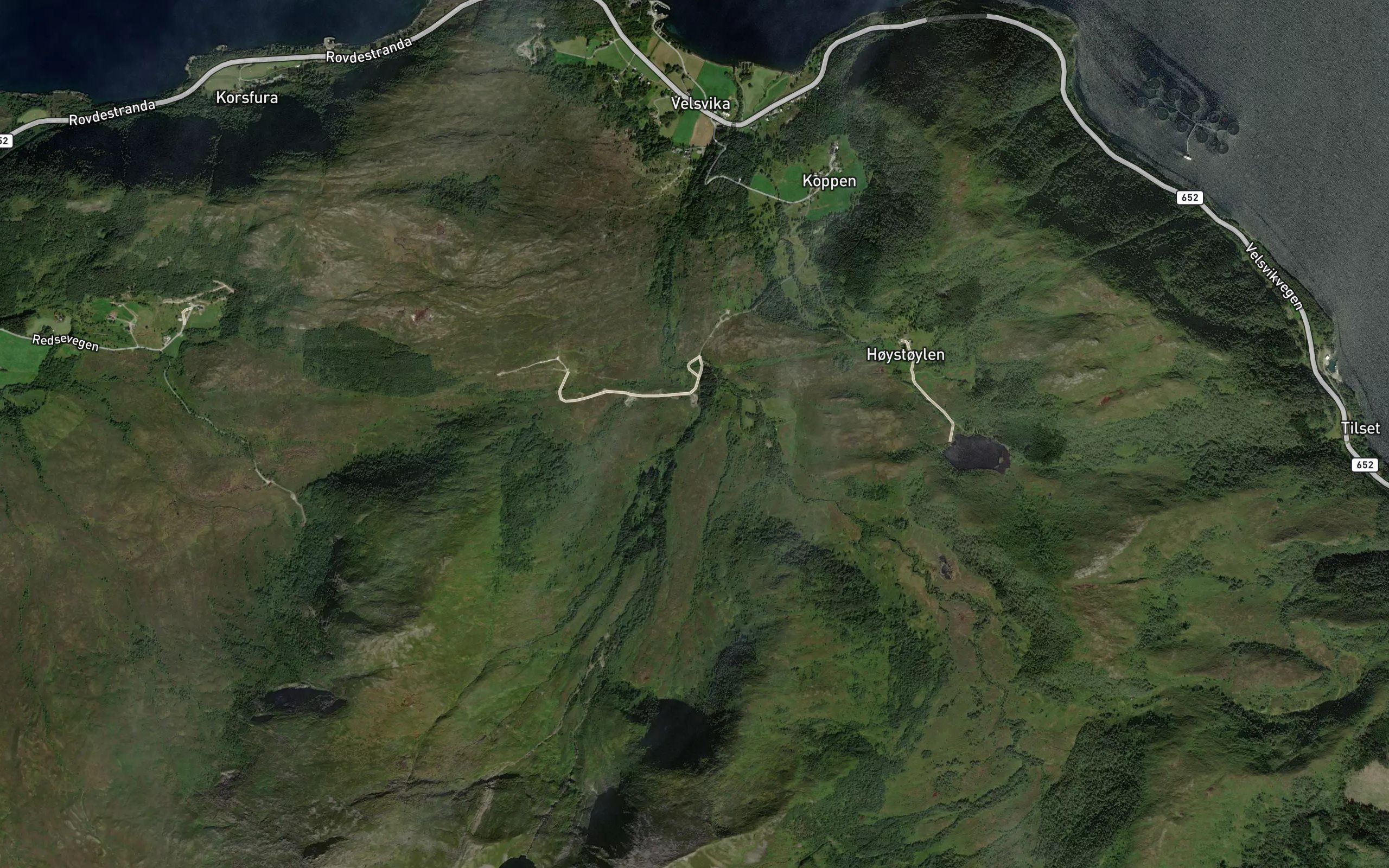 Skalaelva