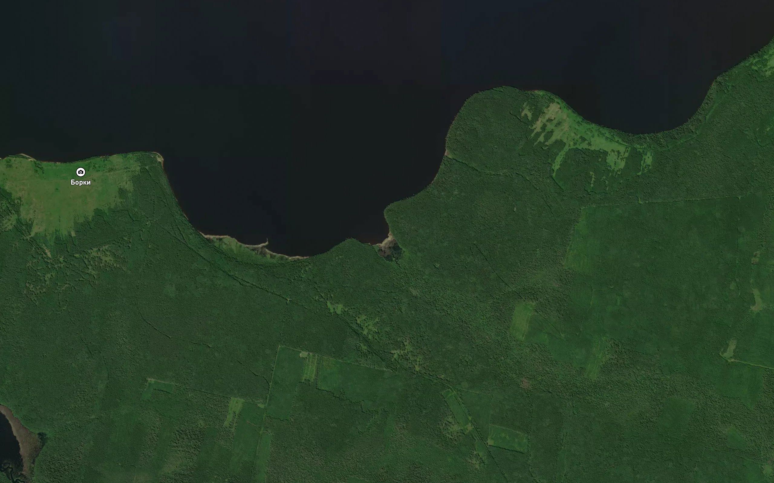 Osinovaya