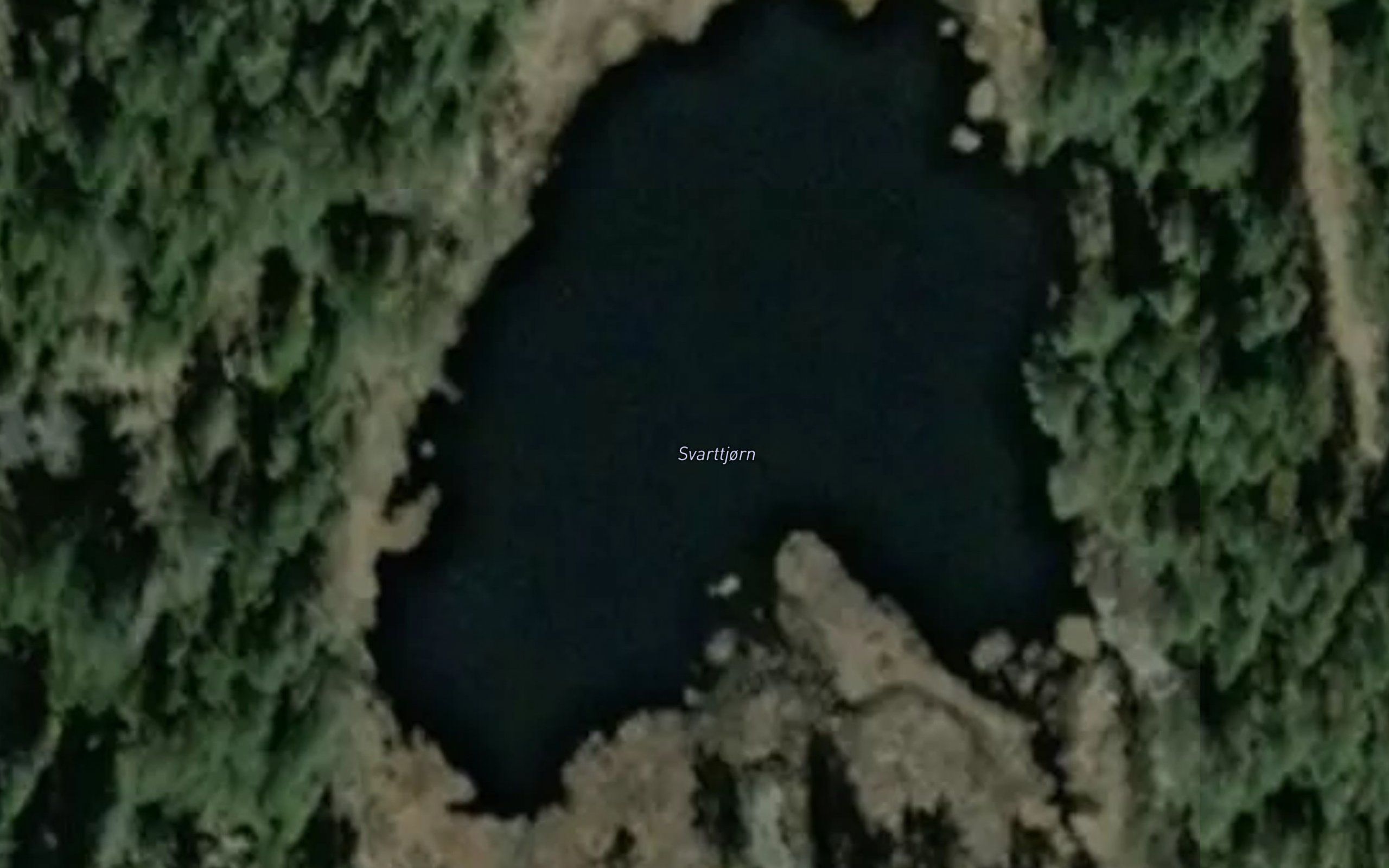 Svarttjorn