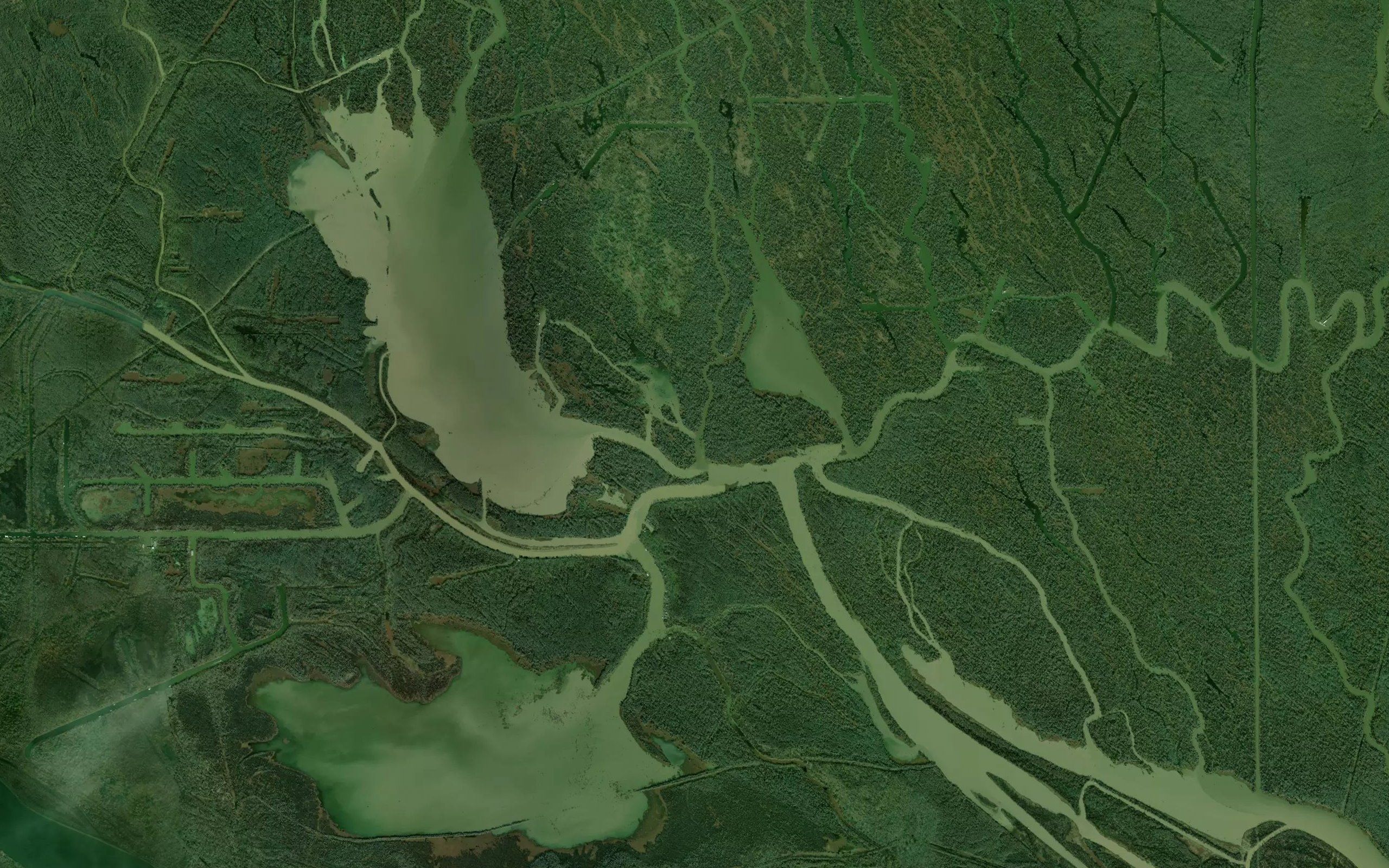 Bayou Darbui