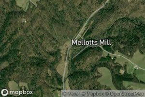 Fortune Teller Creek