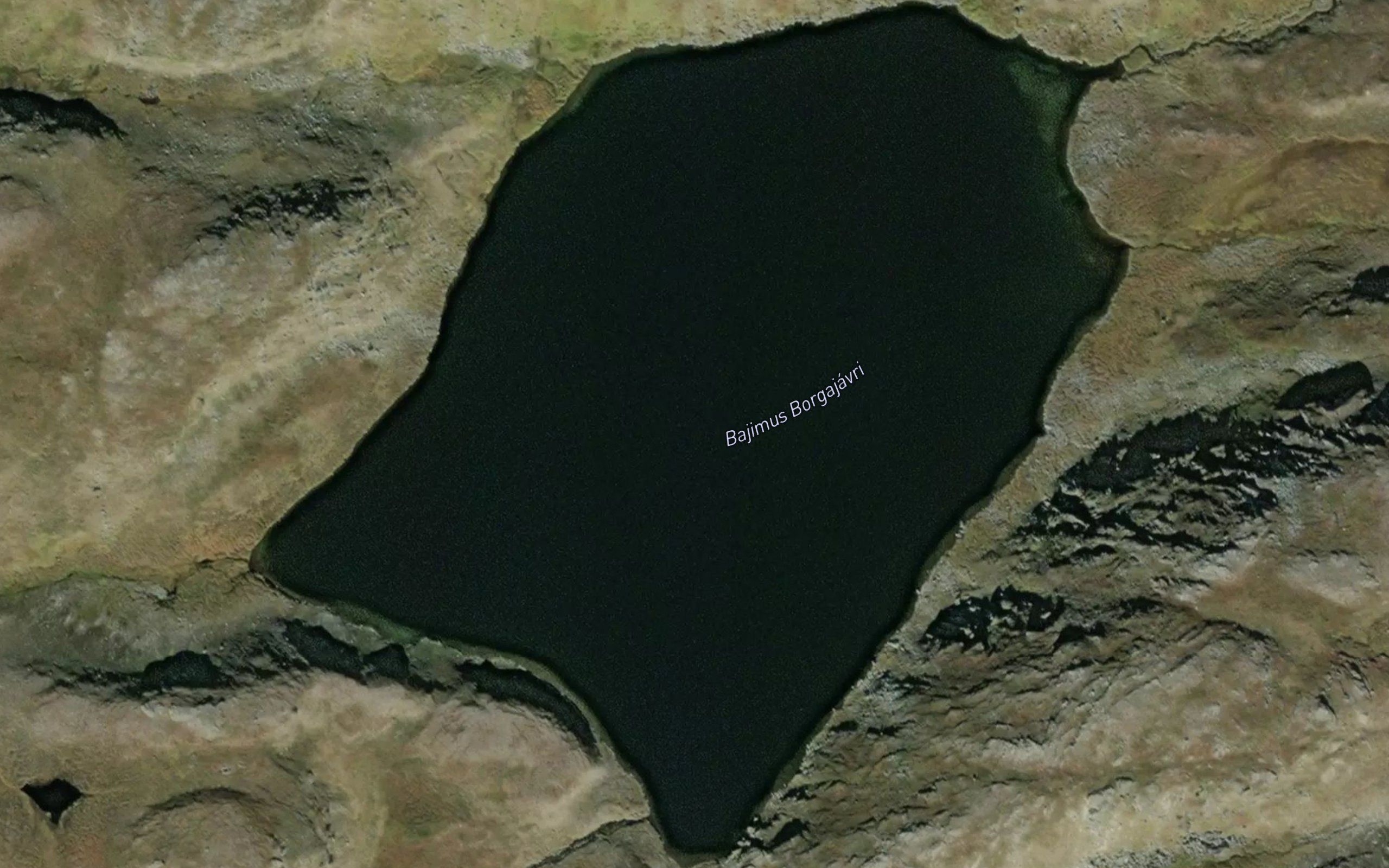 Bajimus Borgajavri