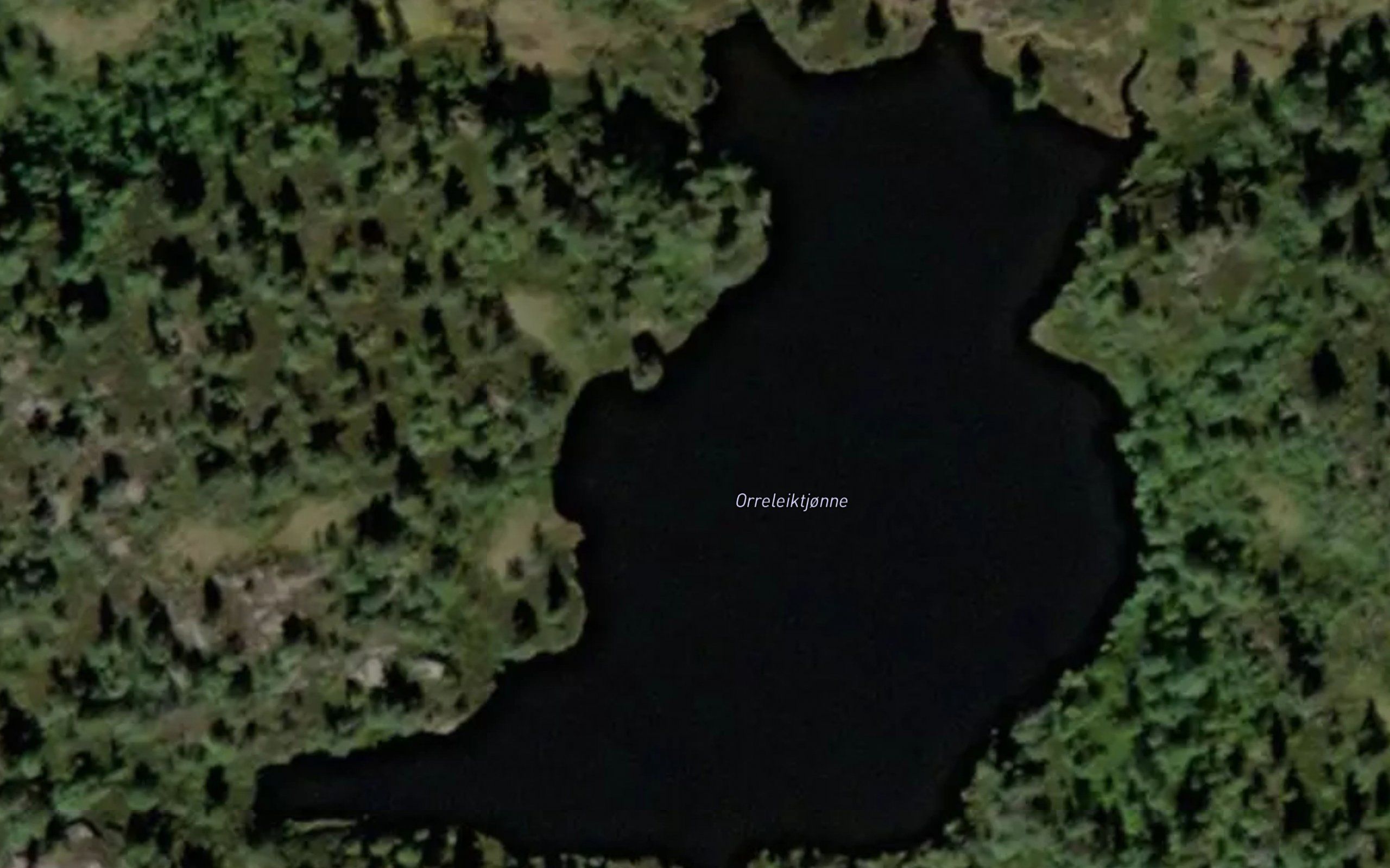 Orreleiktjorni