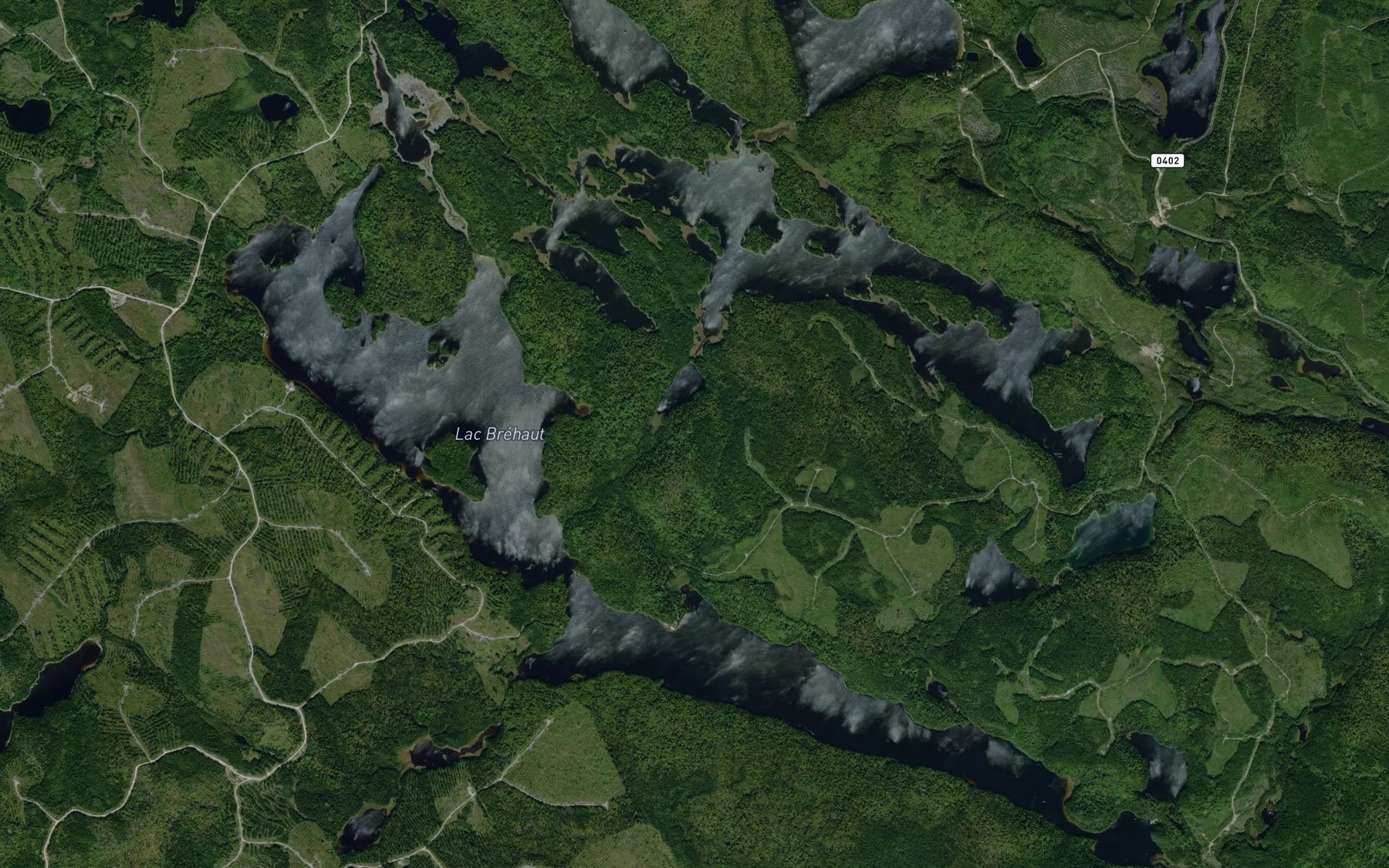 Satellite map of the Lac Brehaut