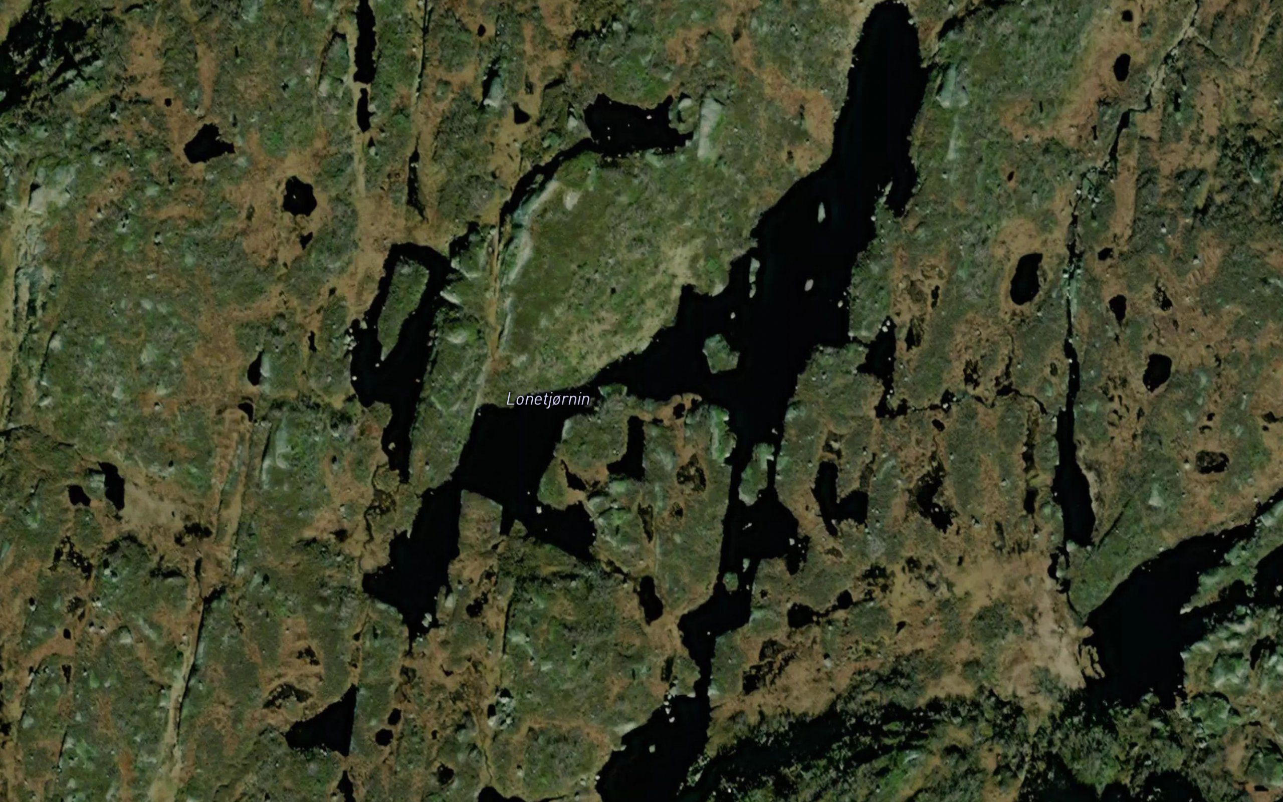 Lonetjornin