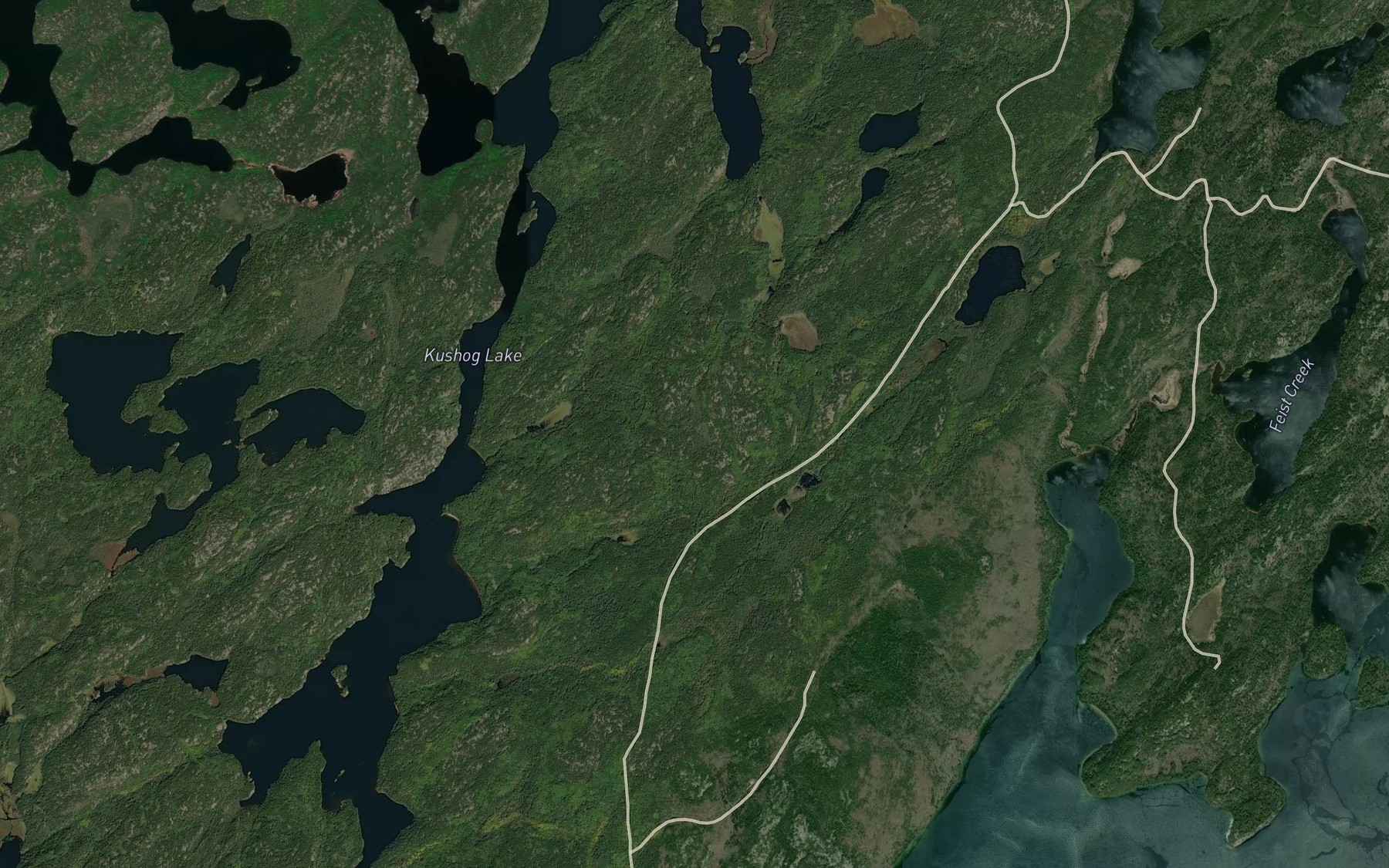 Satellite map of the Feist Creek