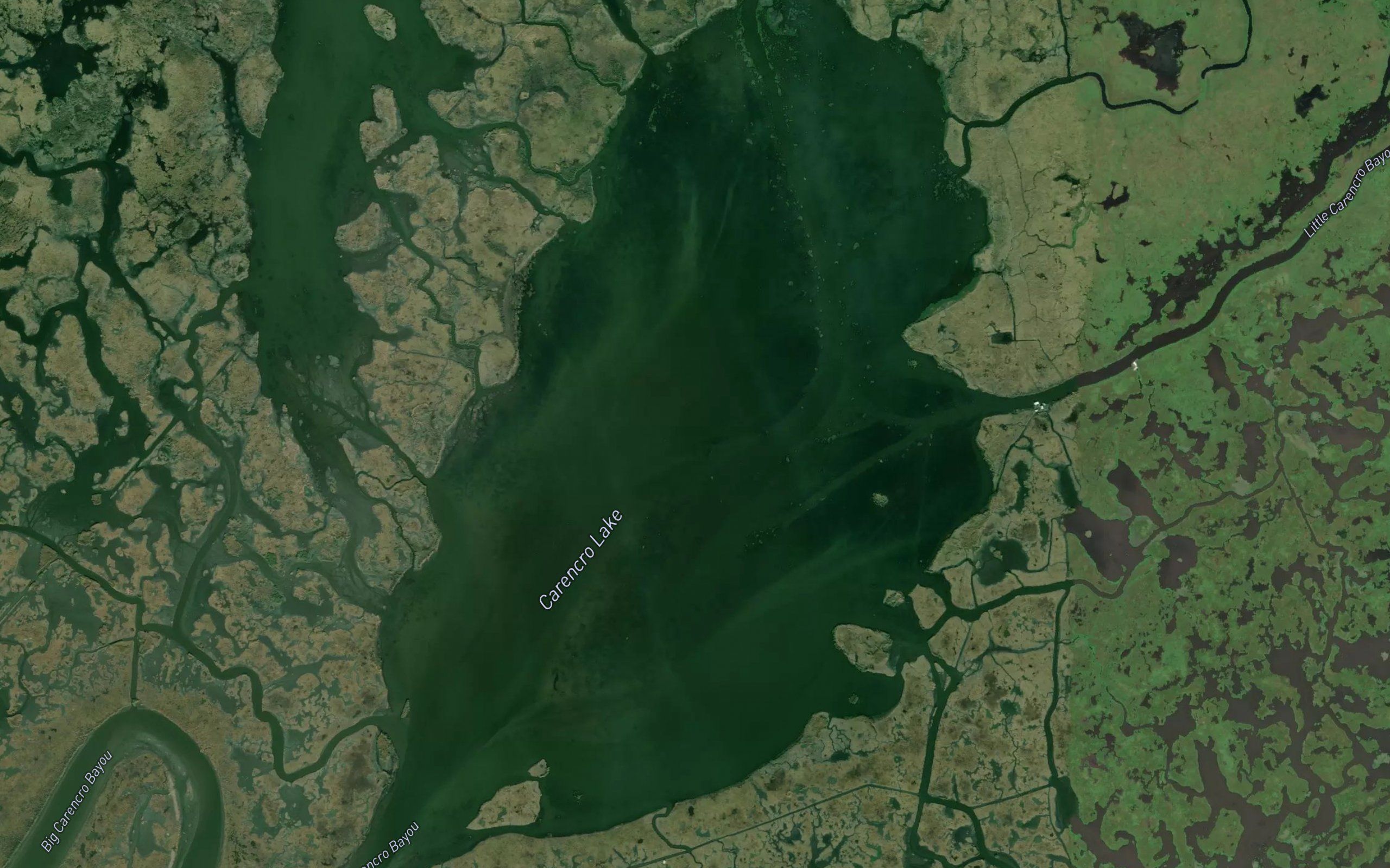 Carencro Lake