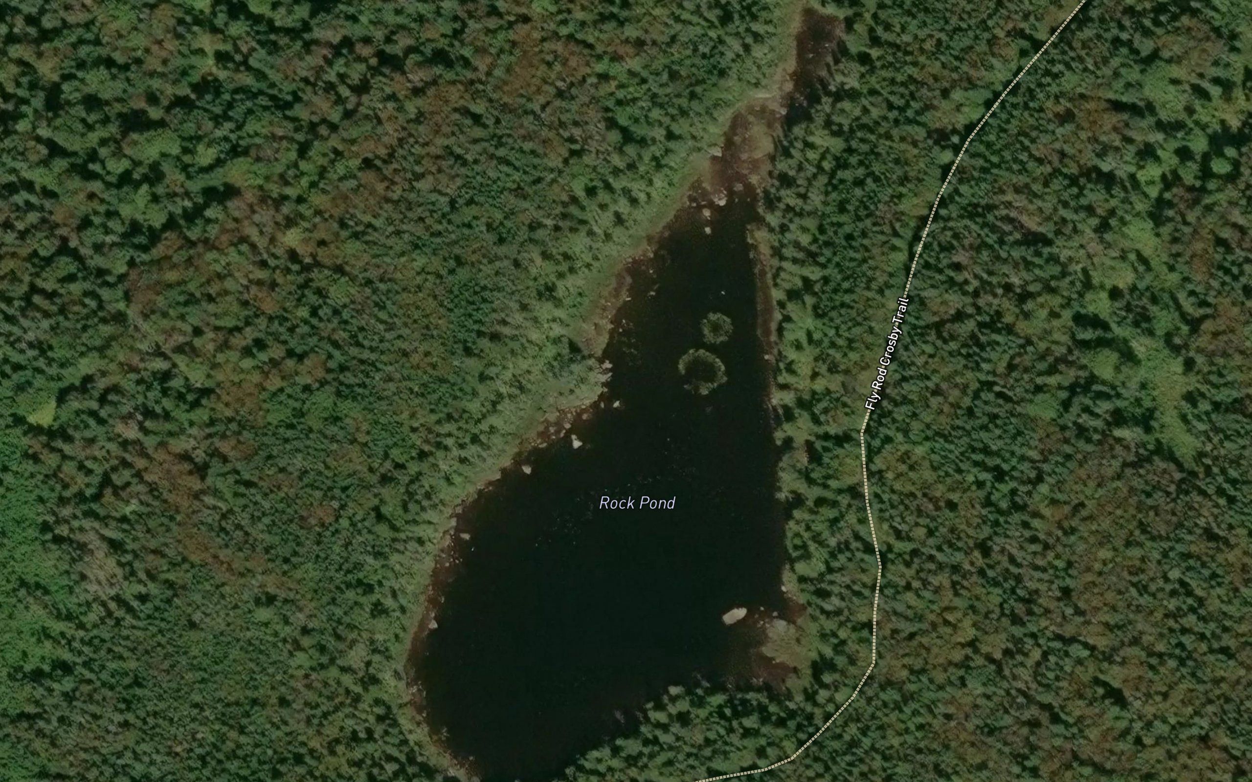 Rock Pond