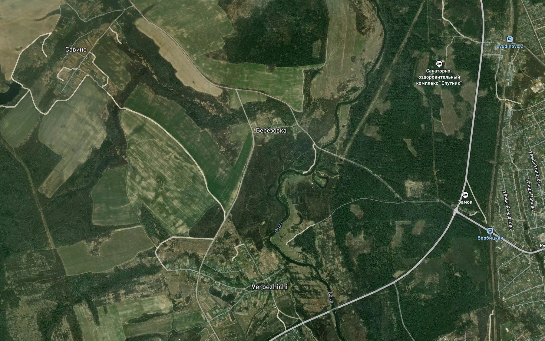 Satellite map of the Nelyubka